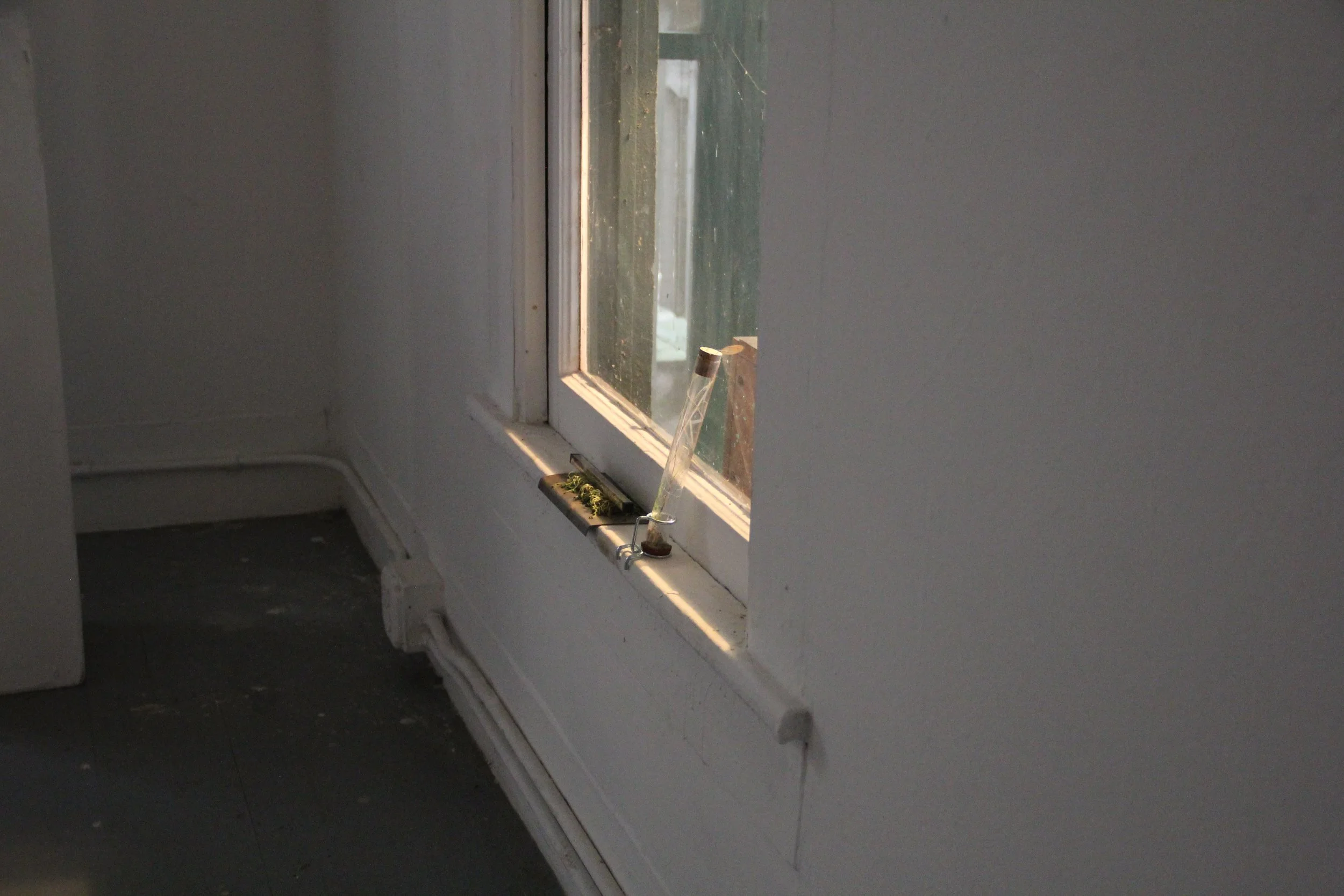 (windowsill view iii(