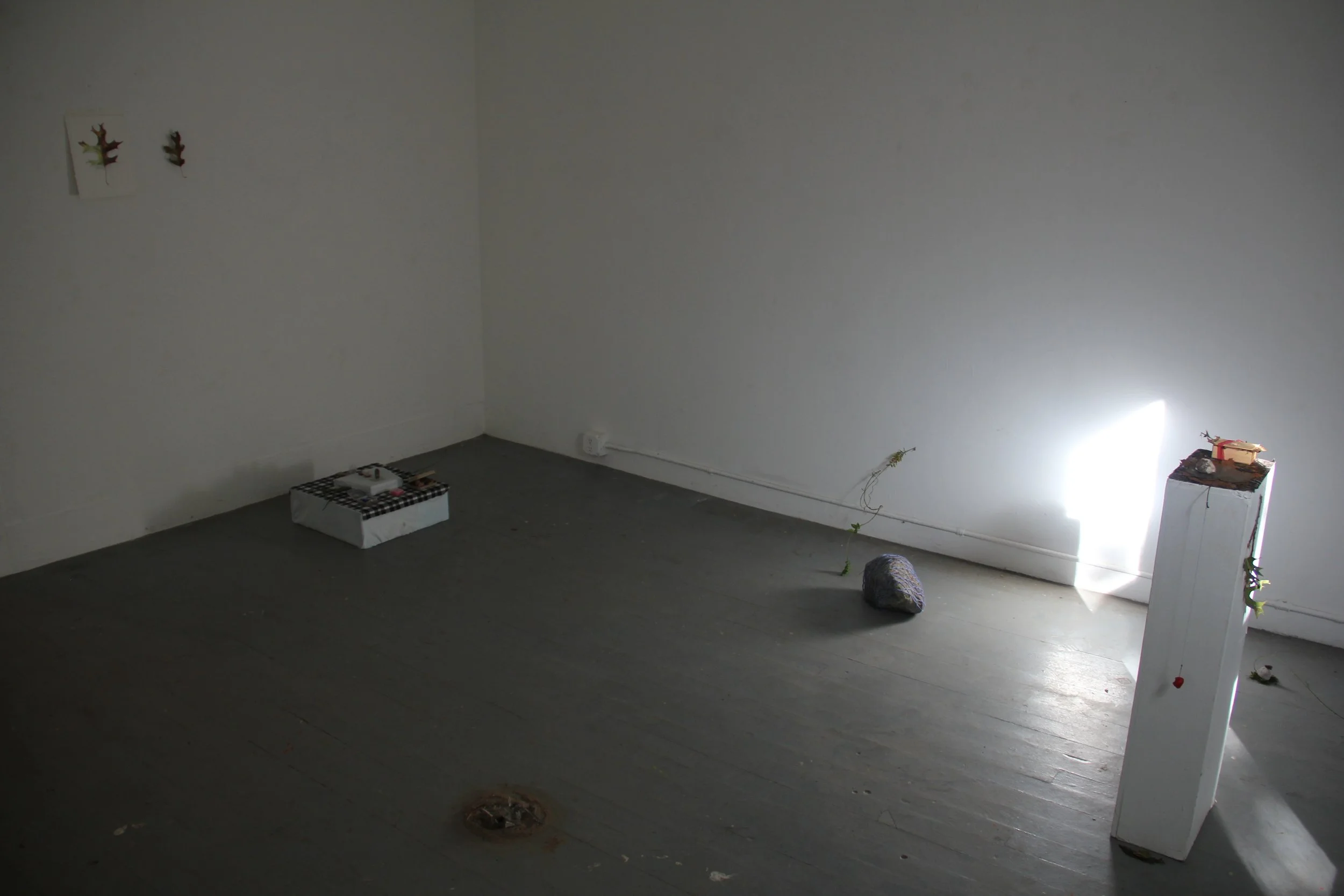 (install view i)