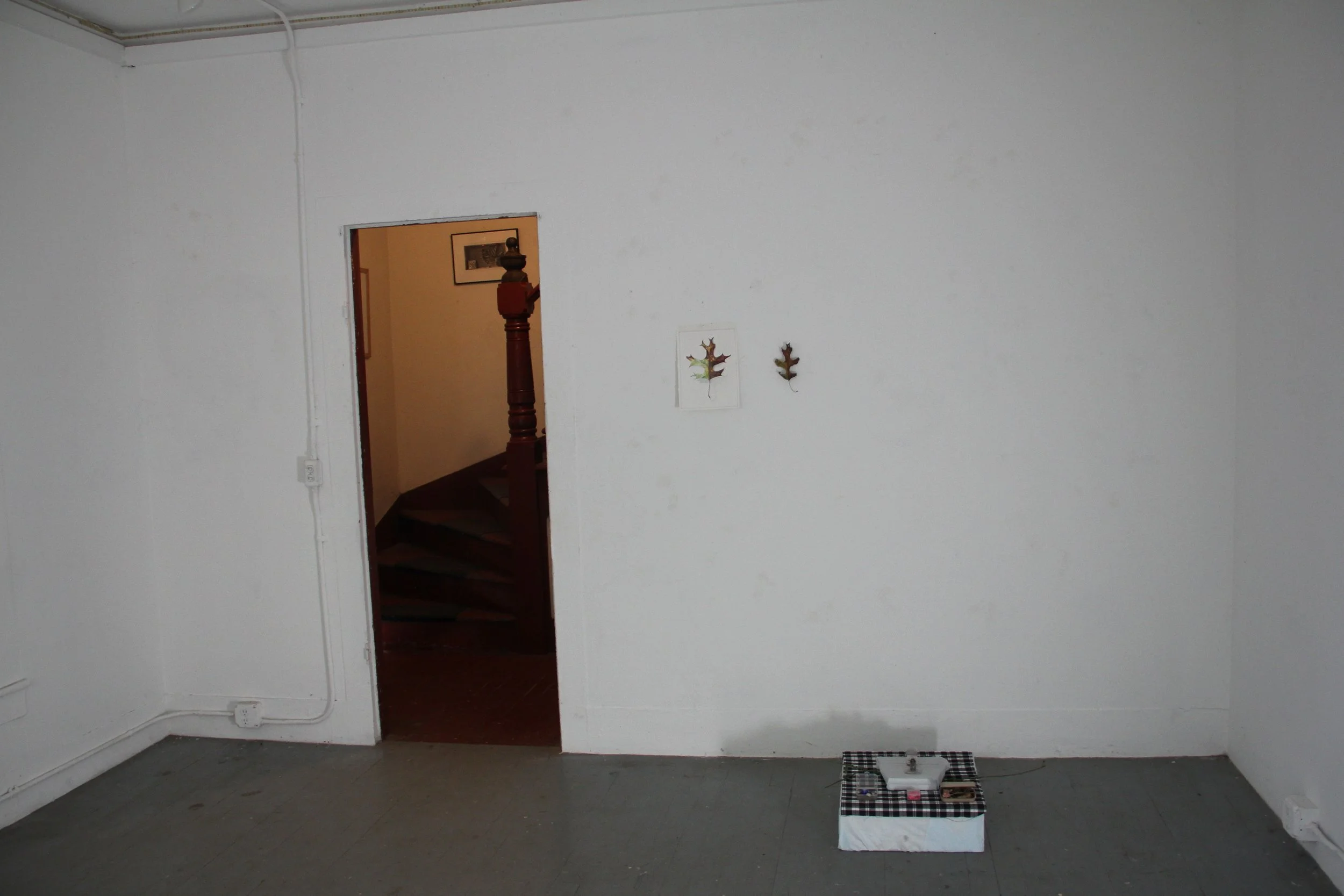(install view iii)