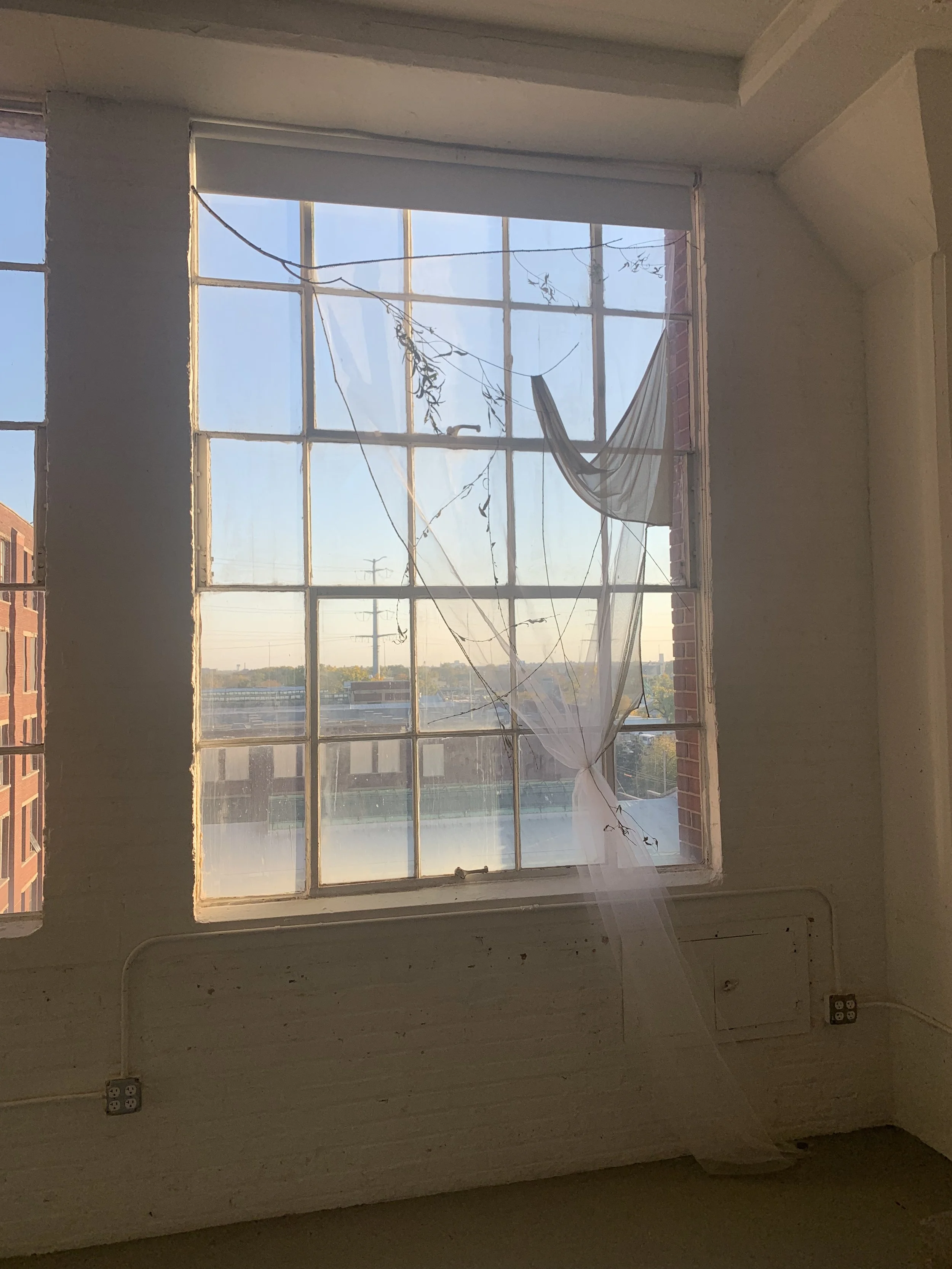 "curtained willow"
/
tulle, netting, jersey, embroidery floss, thread, willow fronds from Winnemac Park, memories, binder ring
 /
65.5” x 13”
