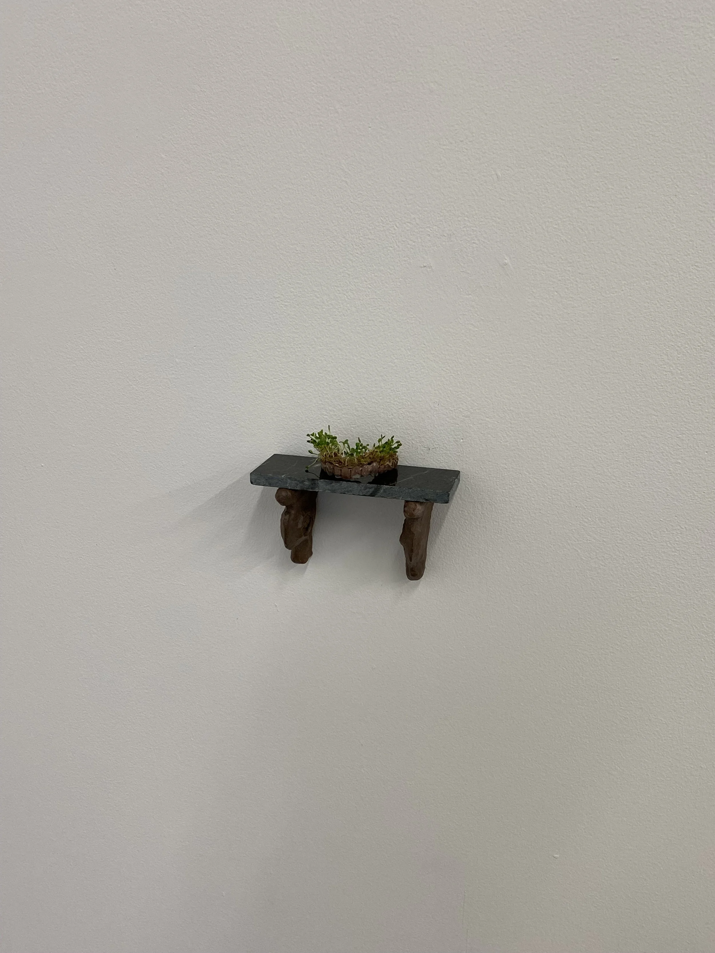 "it doesnt take nearly as long as you might expect"
/
marble tile sample, stoneware brackets, biteguard, hemp fiber pads, red clover sprouts
/
6” x 3” x 3”

