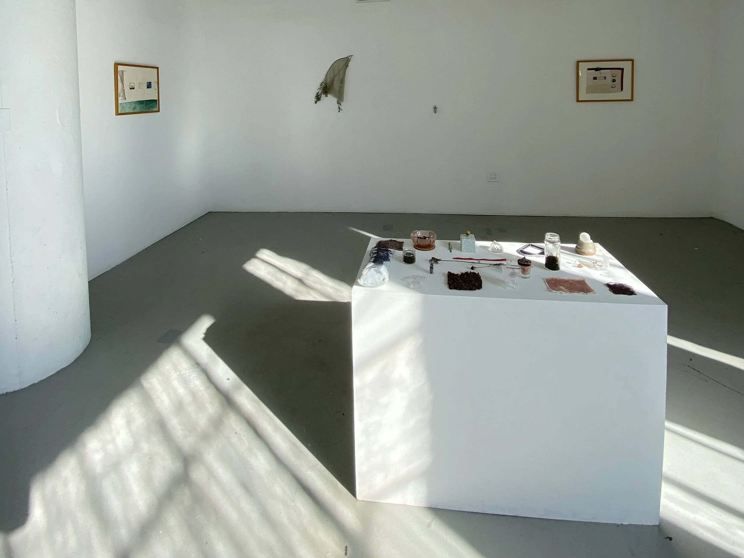 (Installation View)