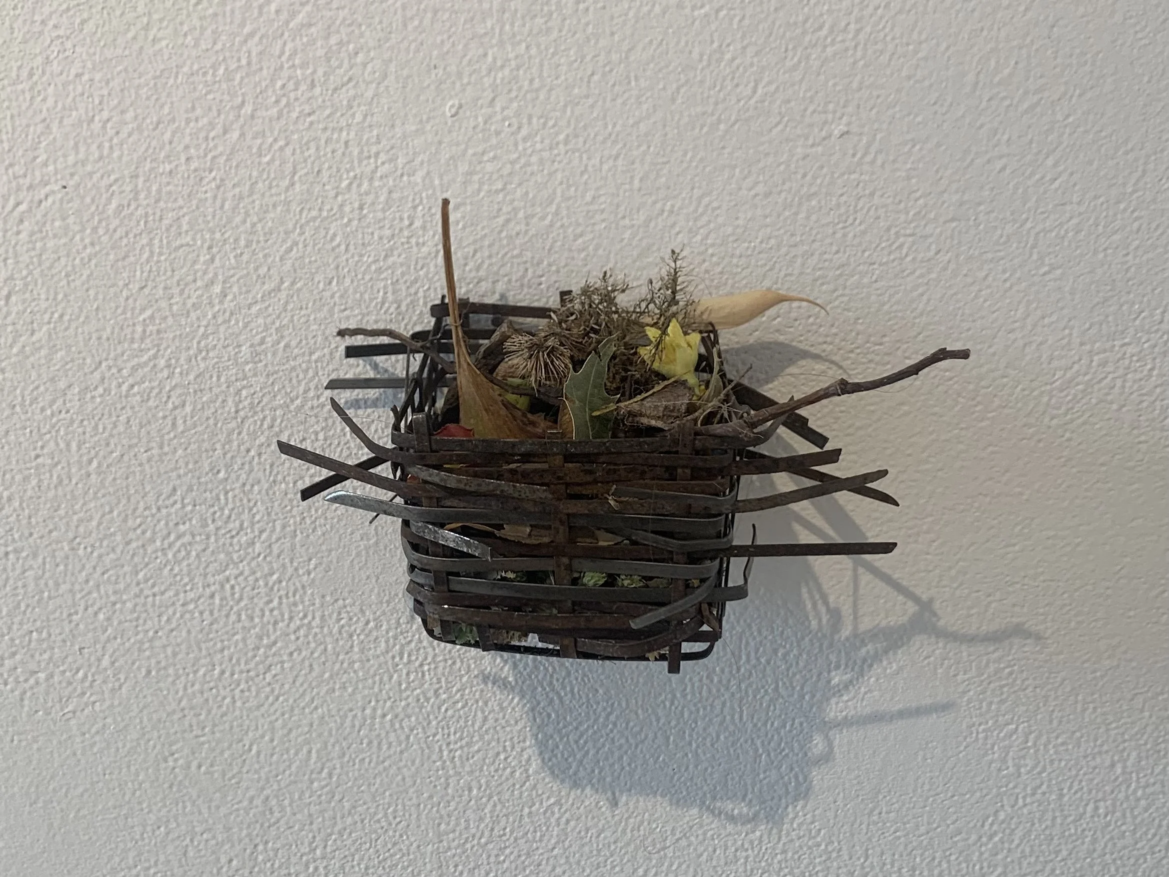 "therein, there goes it" 
/ street sweeper bristles, basket contents variable 
