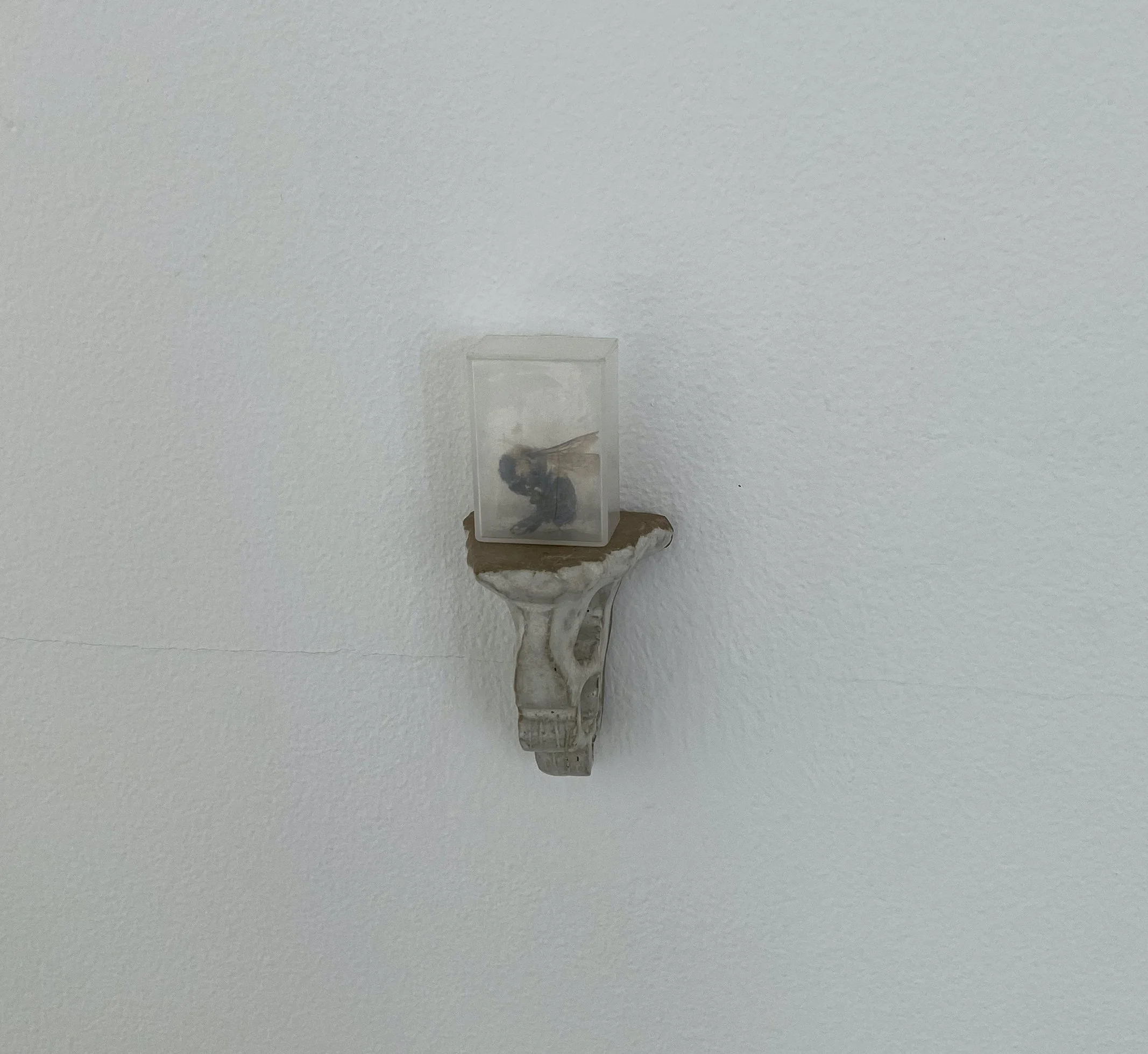 "nervous about not finding or maintaining the balance" 
/
bee, small plastic organizer, stoneware bracket
/
4” x 2”
