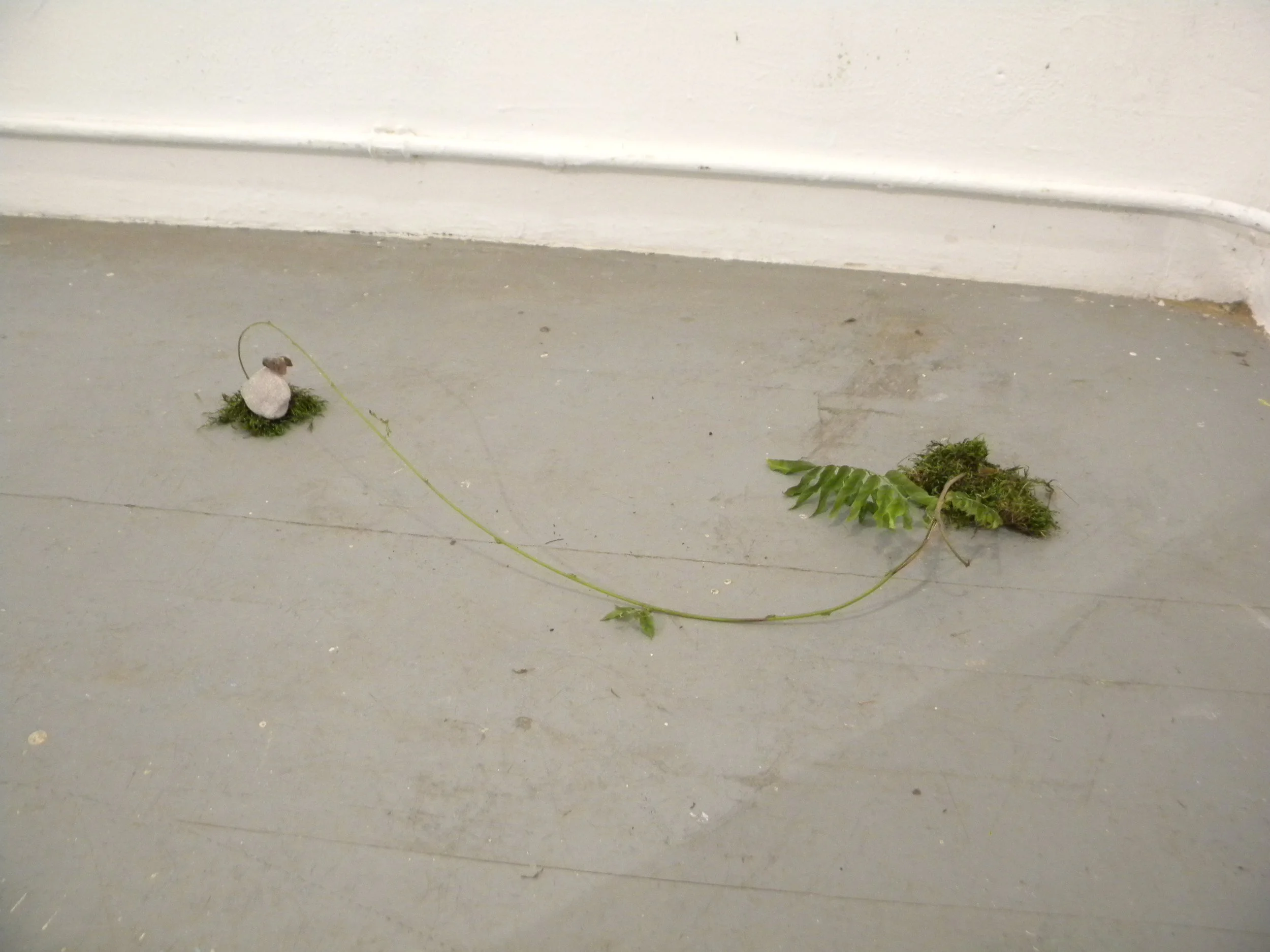 DSCN6196.JPG