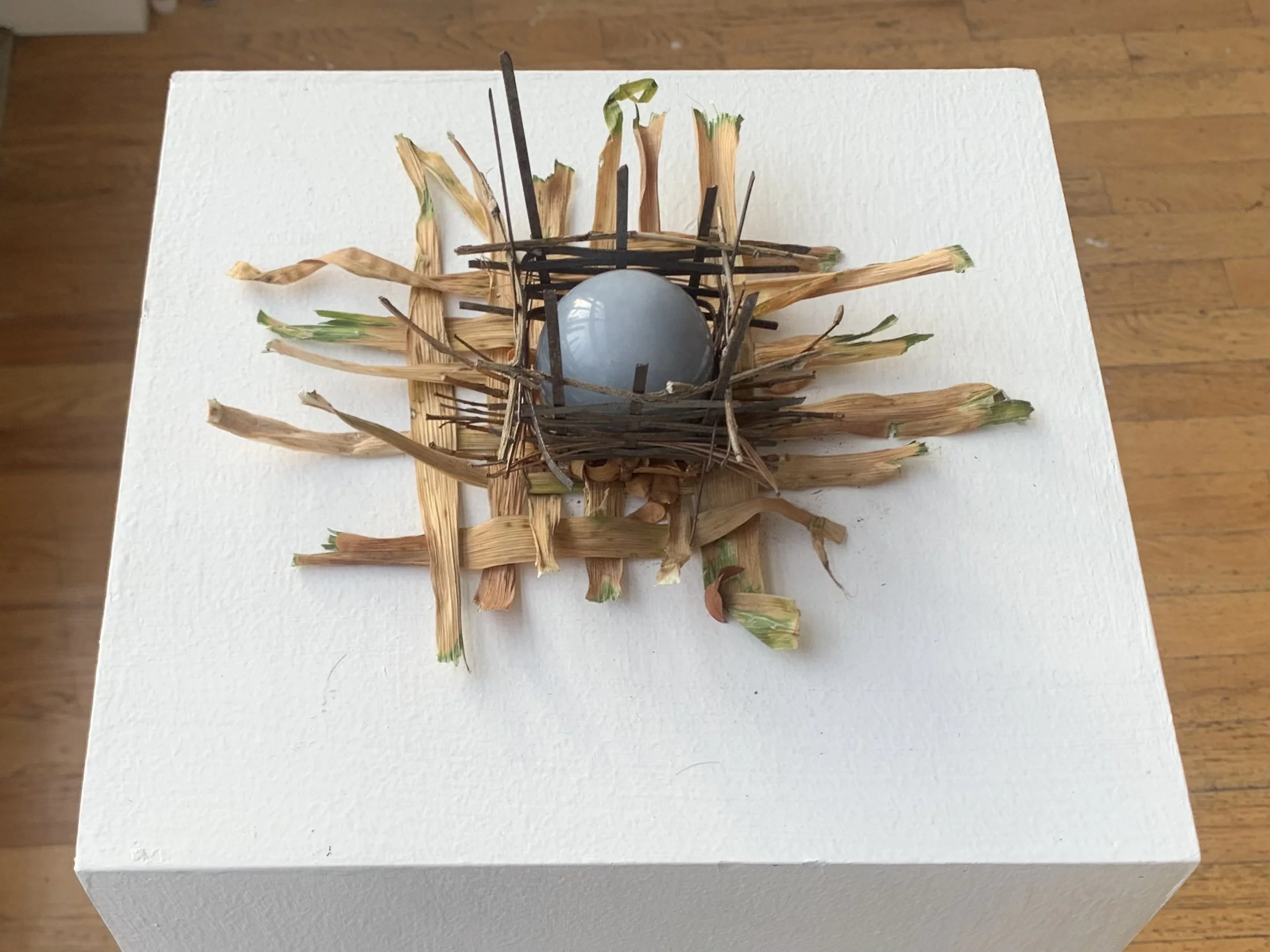 "or i feel as if i’ve missed something."
/
street sweeper bristles, angelite sphere, daylily leaves, honeylocust leaf litter
