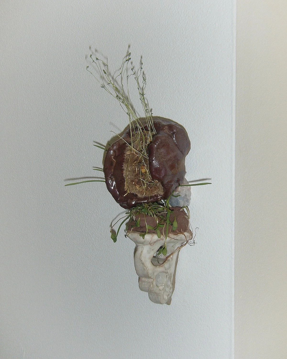 "Untitled"
/
ceramic structures, wet clay, fluorite chunk, hemp fiber pad, dried and live sprouts
/
(2019)