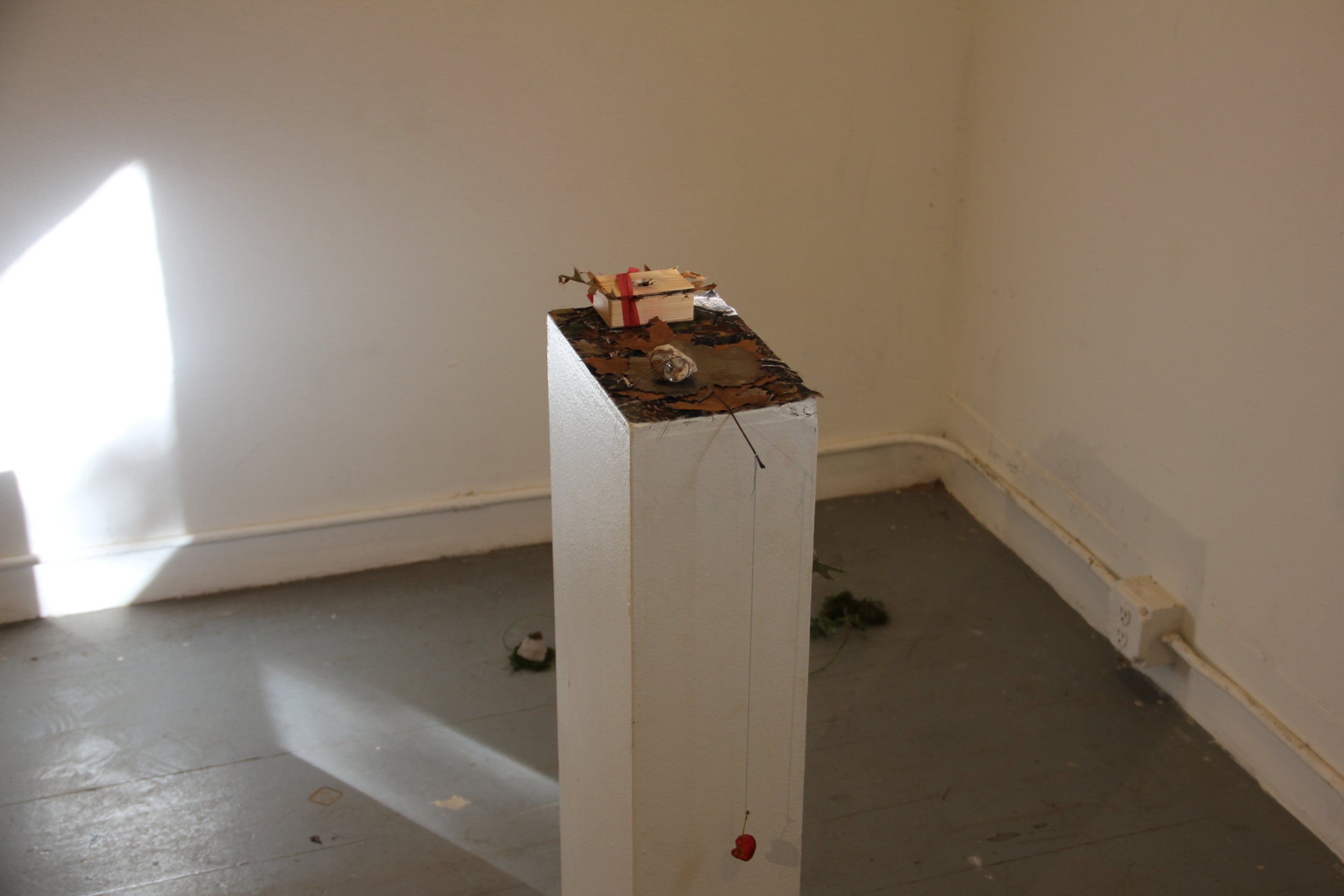 (install view iv)