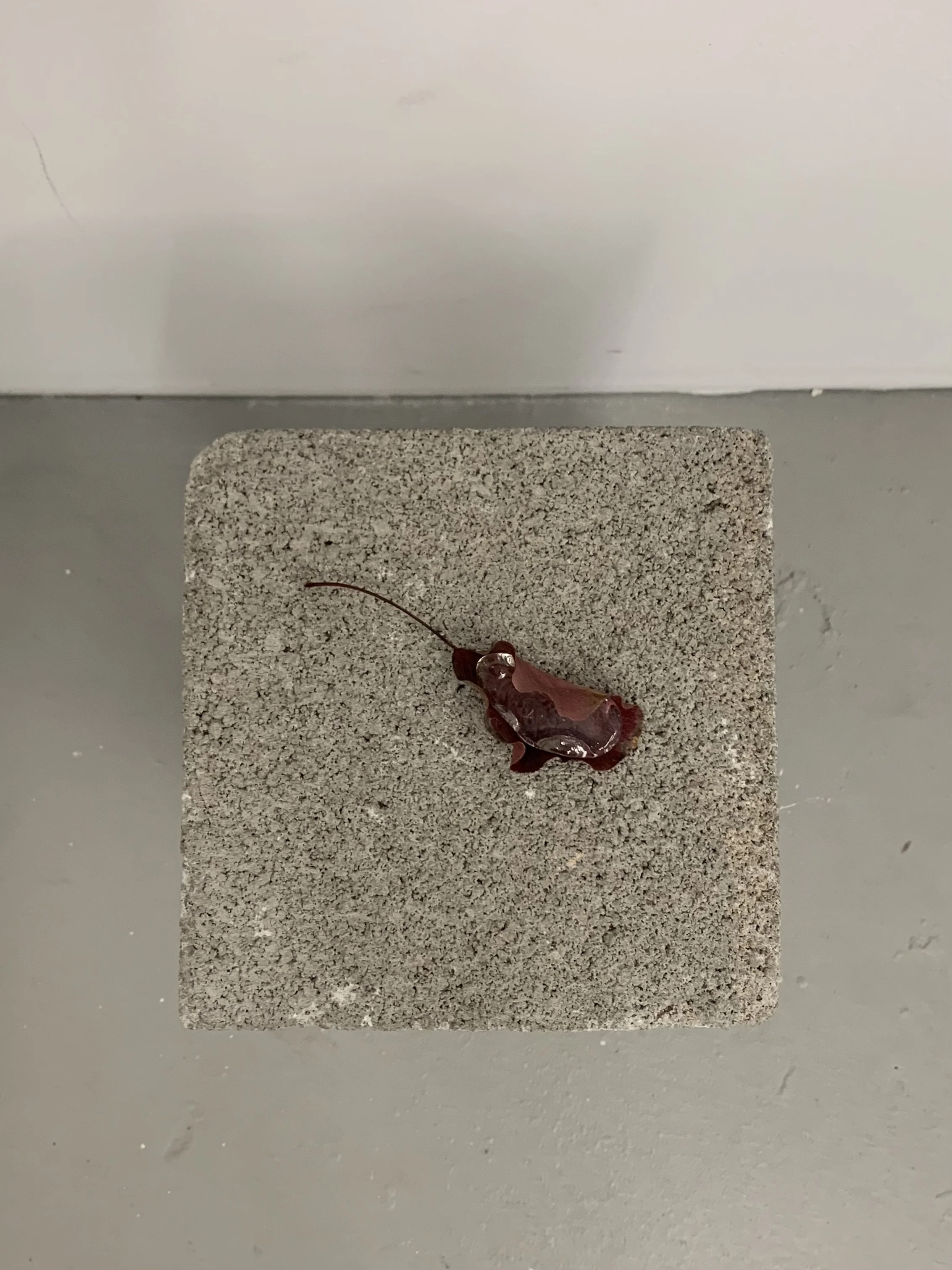 "i do not want to lose it"
/
Leaf, glass puddle
/
5” x 2”
