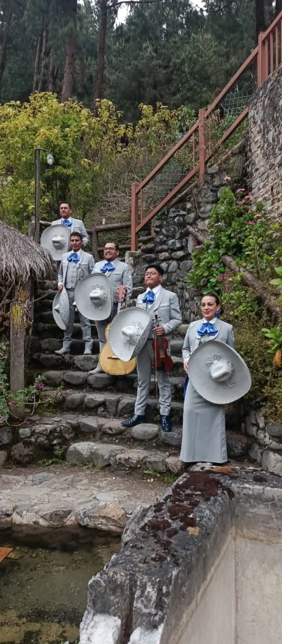 WhatsApp Image 2026-01-29 at 18.08.42.jpeg