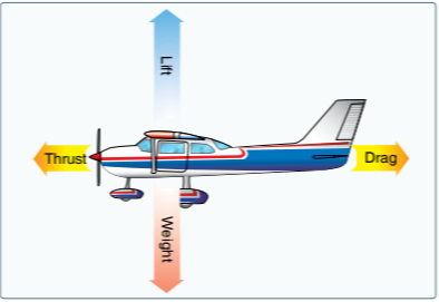 Forces of Flight Power Point
