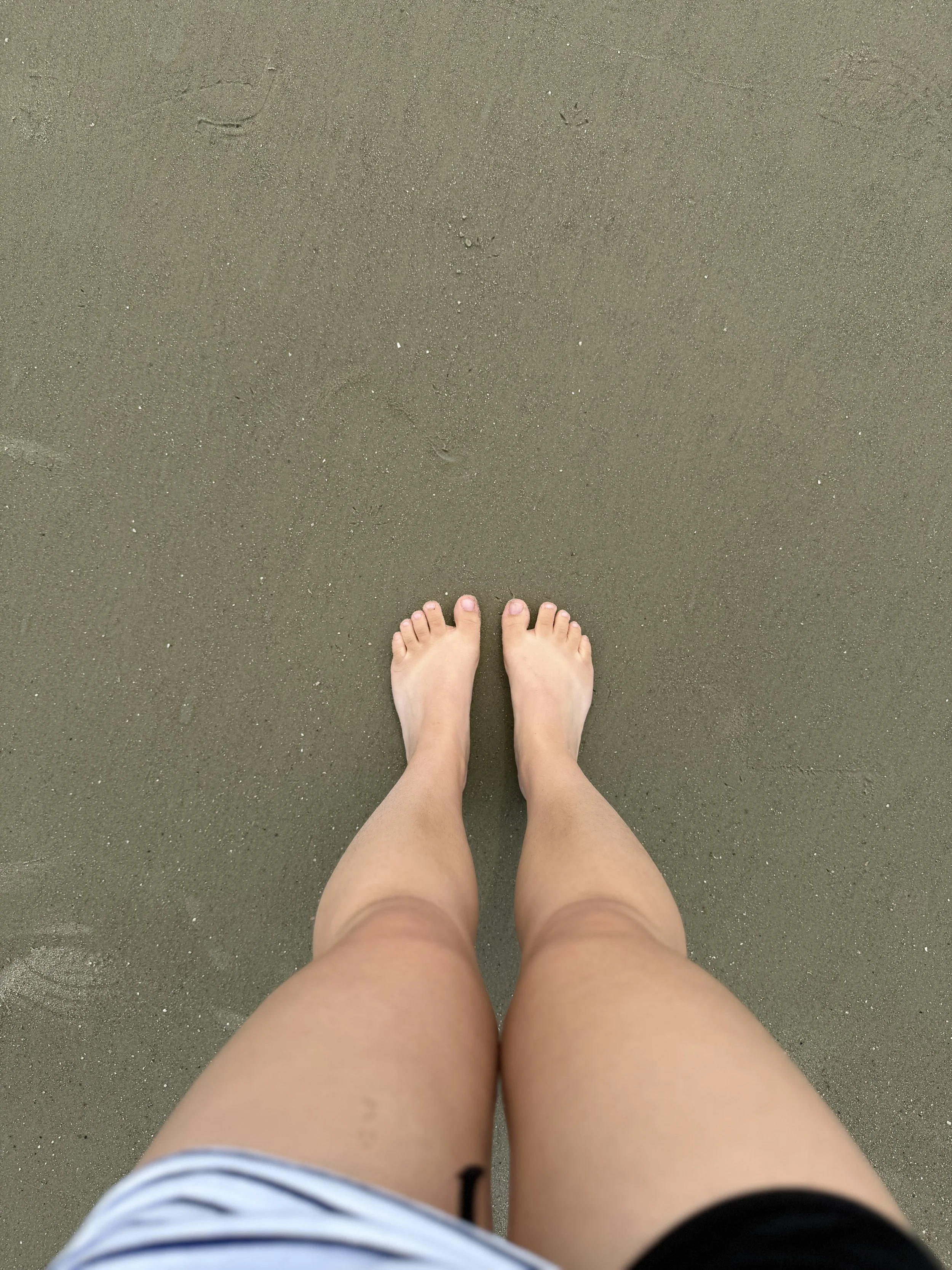 IMG_7222.jpeg