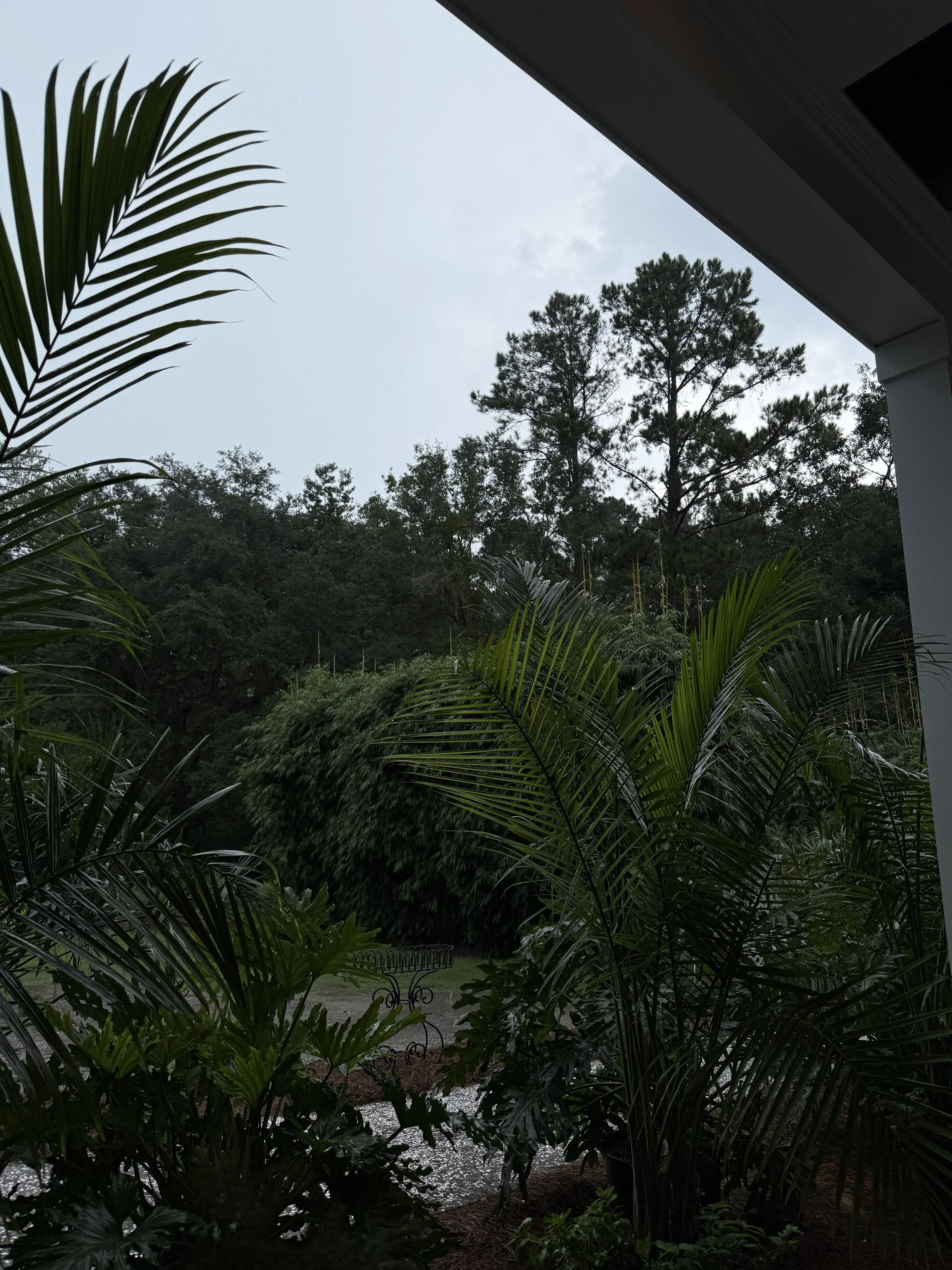 IMG_7465.jpeg
