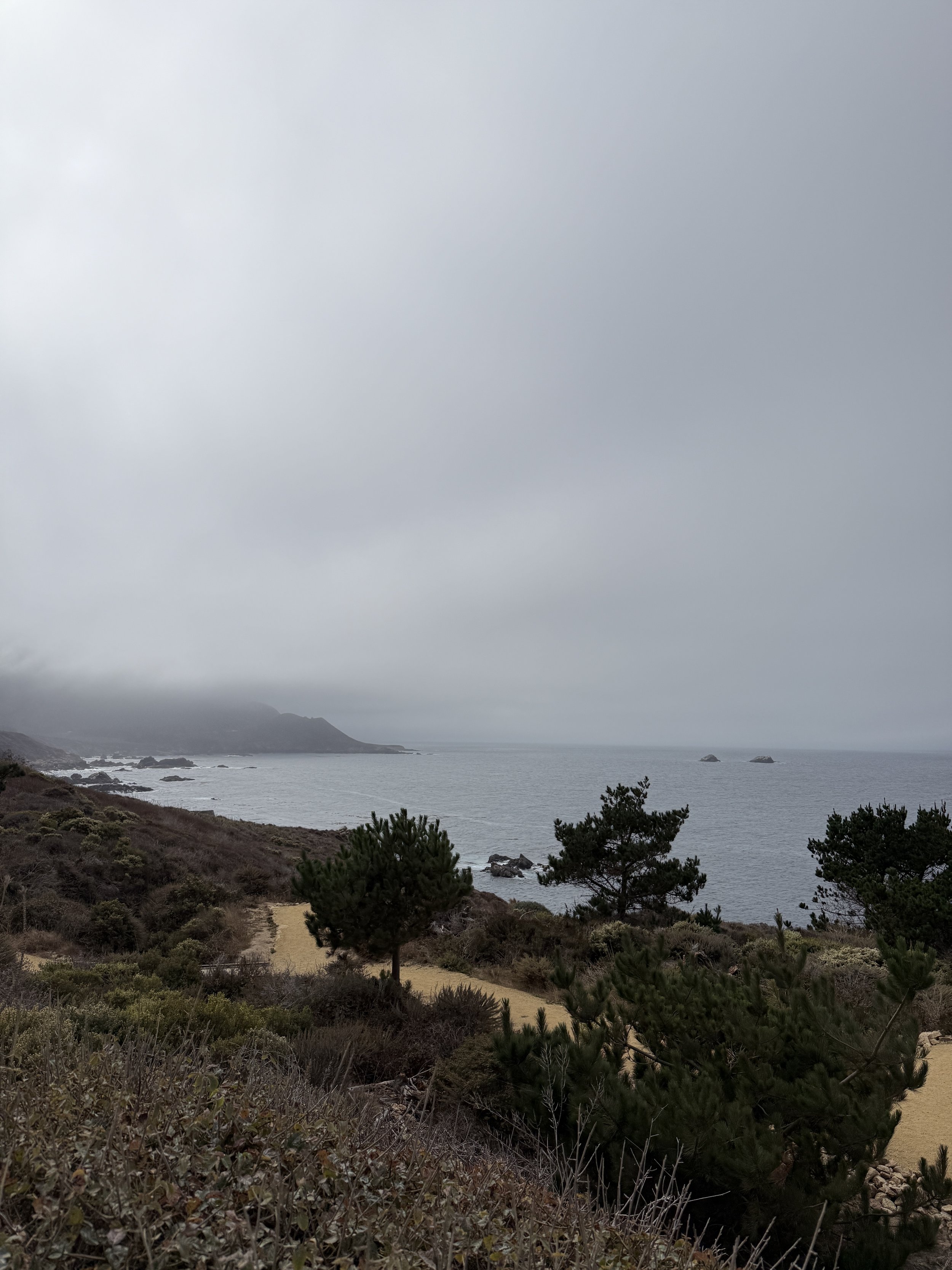 IMG_9038.jpeg