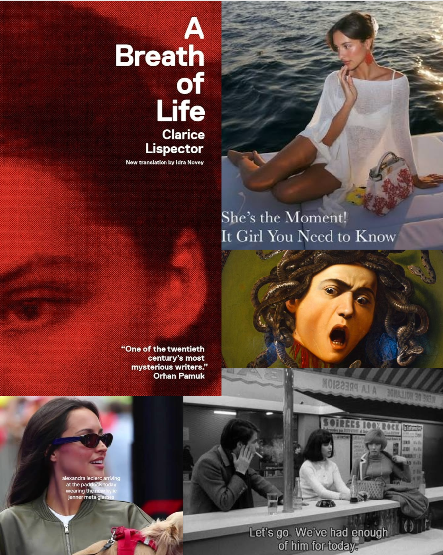 The Ultimate Performance: What is Beauty in a World Where Social Media Dominates