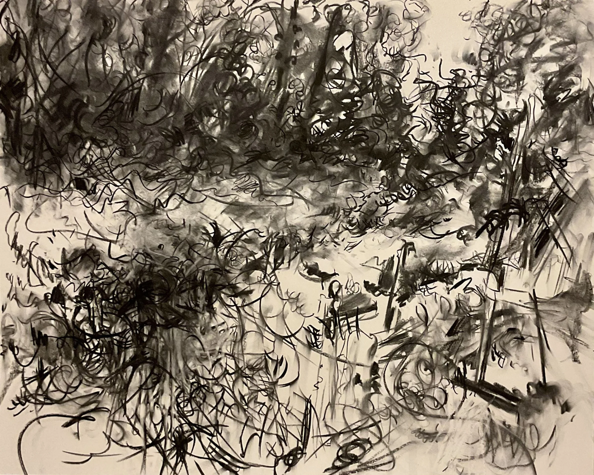 drawing-by-denise-landi-greensboro-artist-IMG_2650-web.jpg