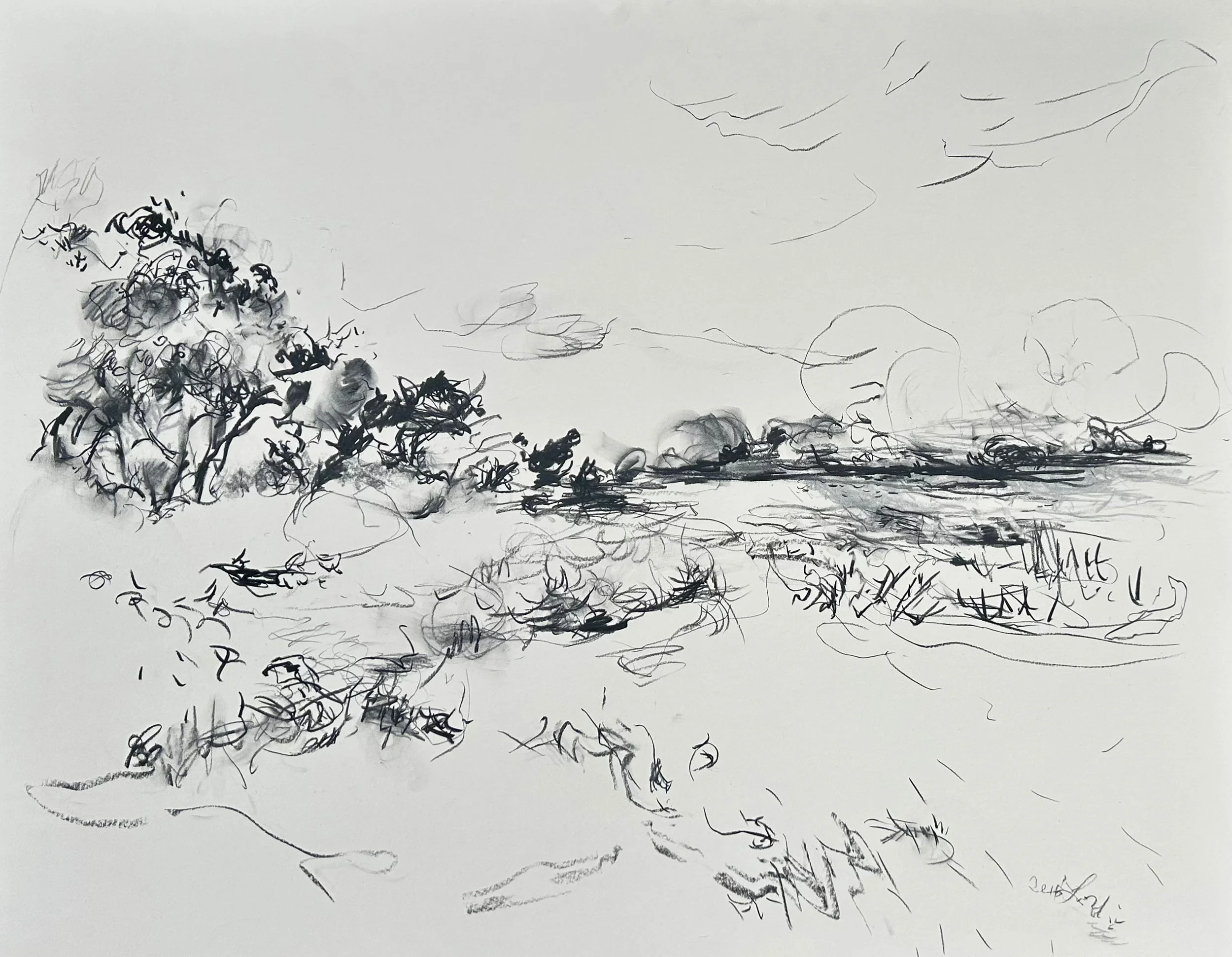 drawing-by-denise-landi-greensboro-artist-IMG_3107-web.jpg