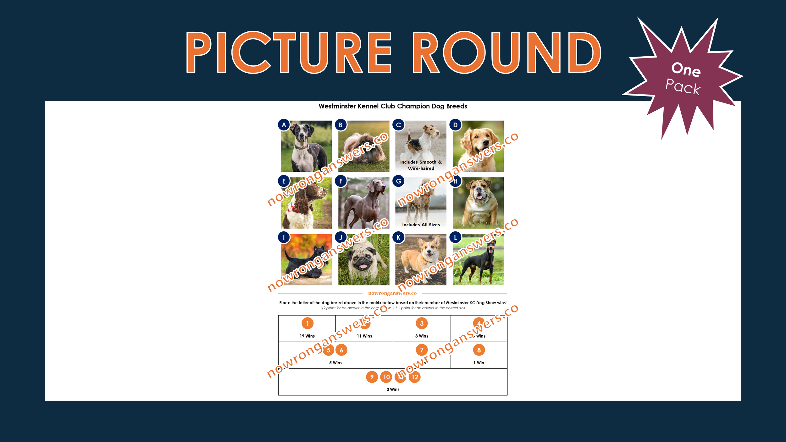 Champion Dog Breeds