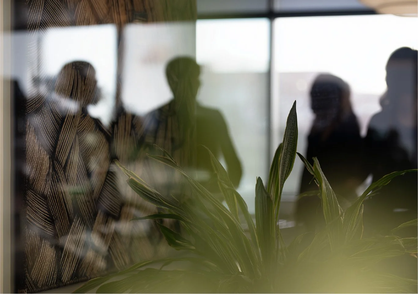 Silhouettes of three people behind a glass wall with a plant in the foreground, office setting visible through the glass.