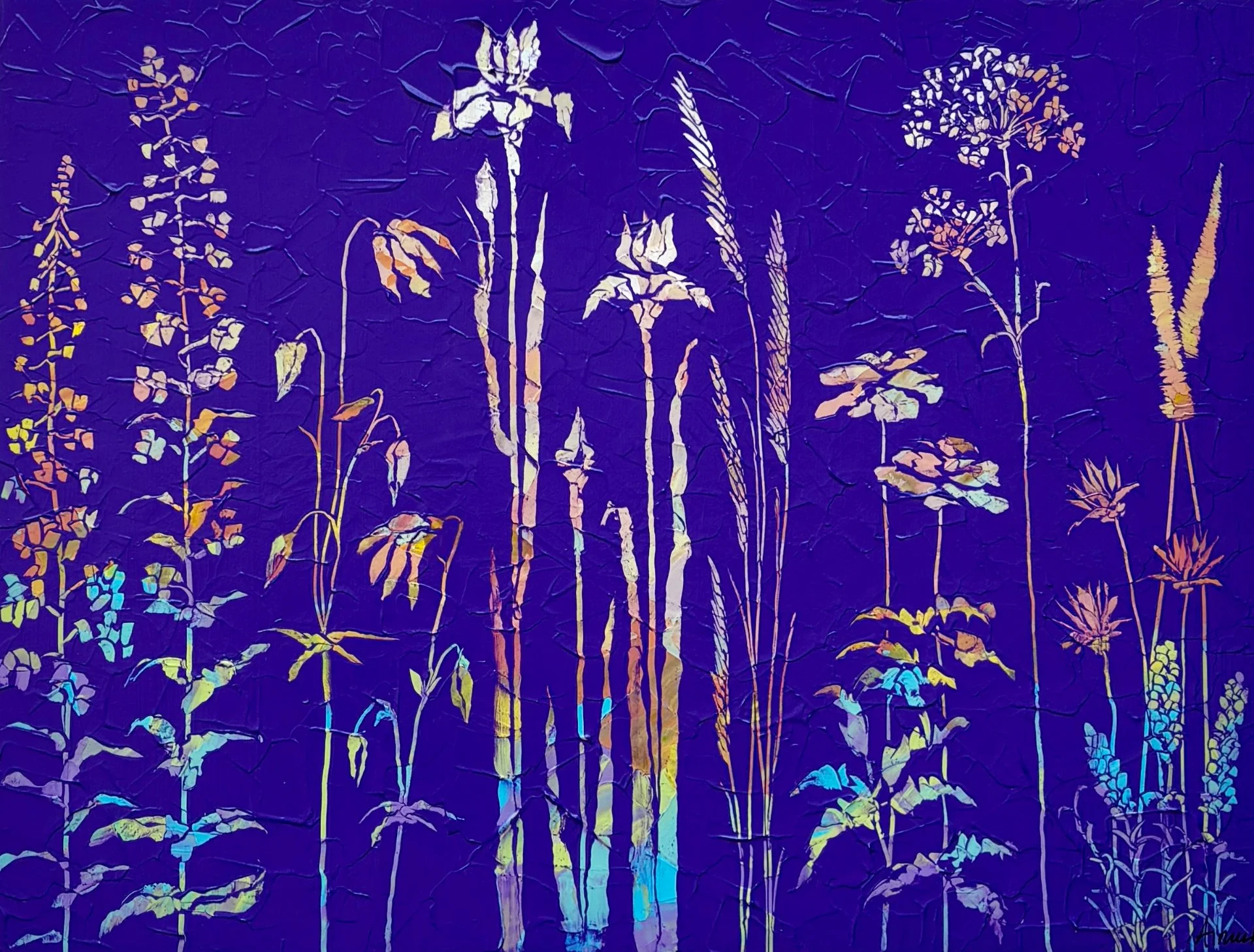 PurpleFlora.jpg