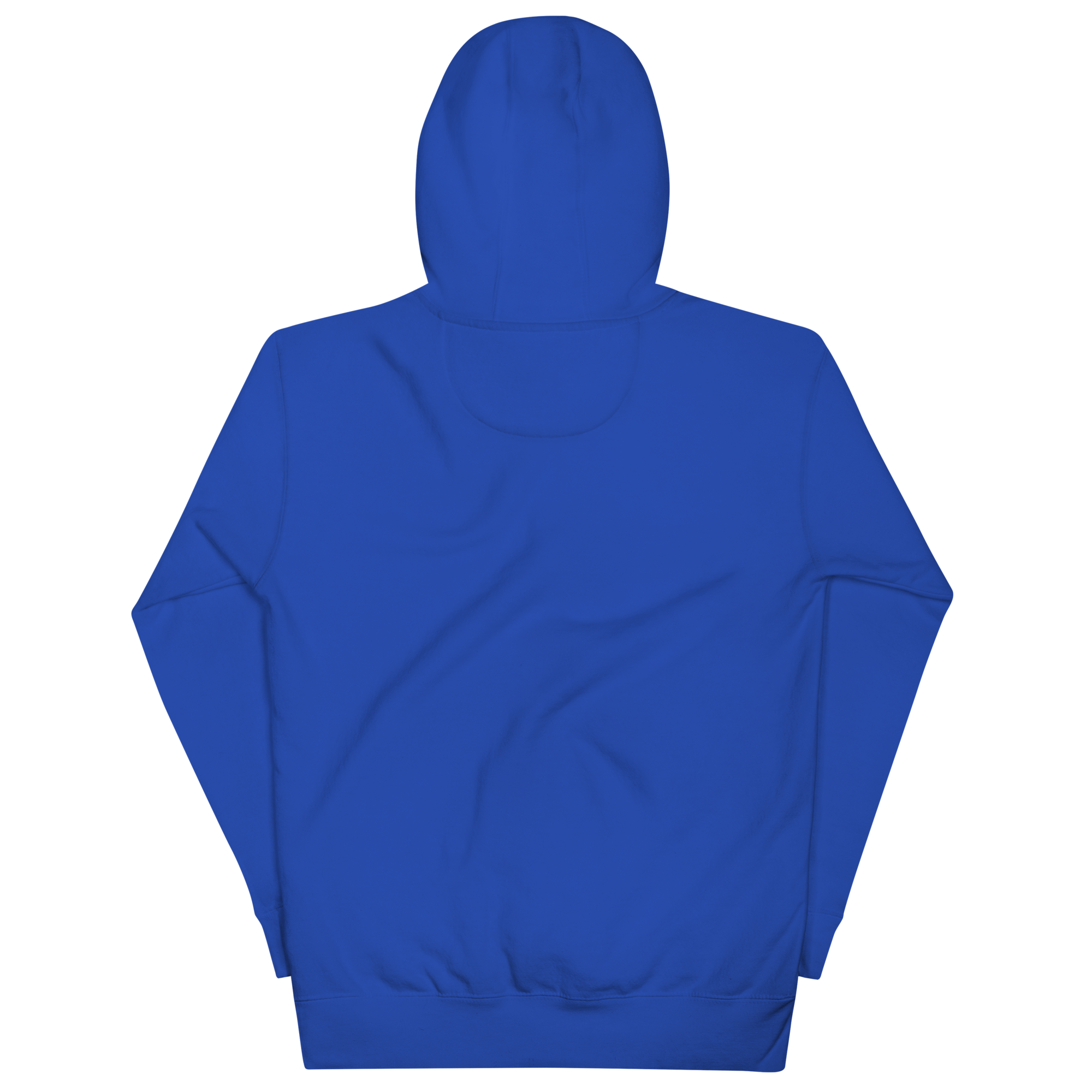 unisex-premium-pullover-hoodie-team-royal-back-69c87bf9d938b.png