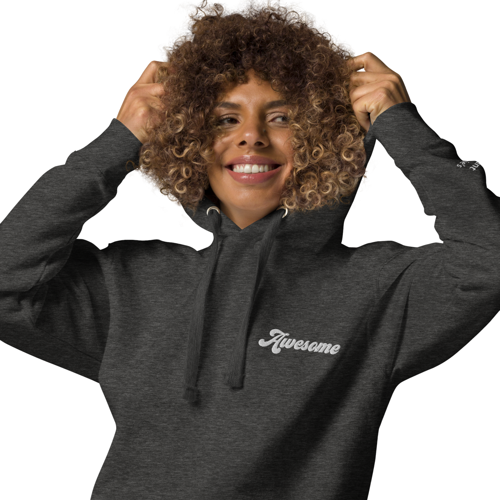 unisex-premium-pullover-hoodie-charcoal-heather-zoomed-in-69c874c02d91d.png