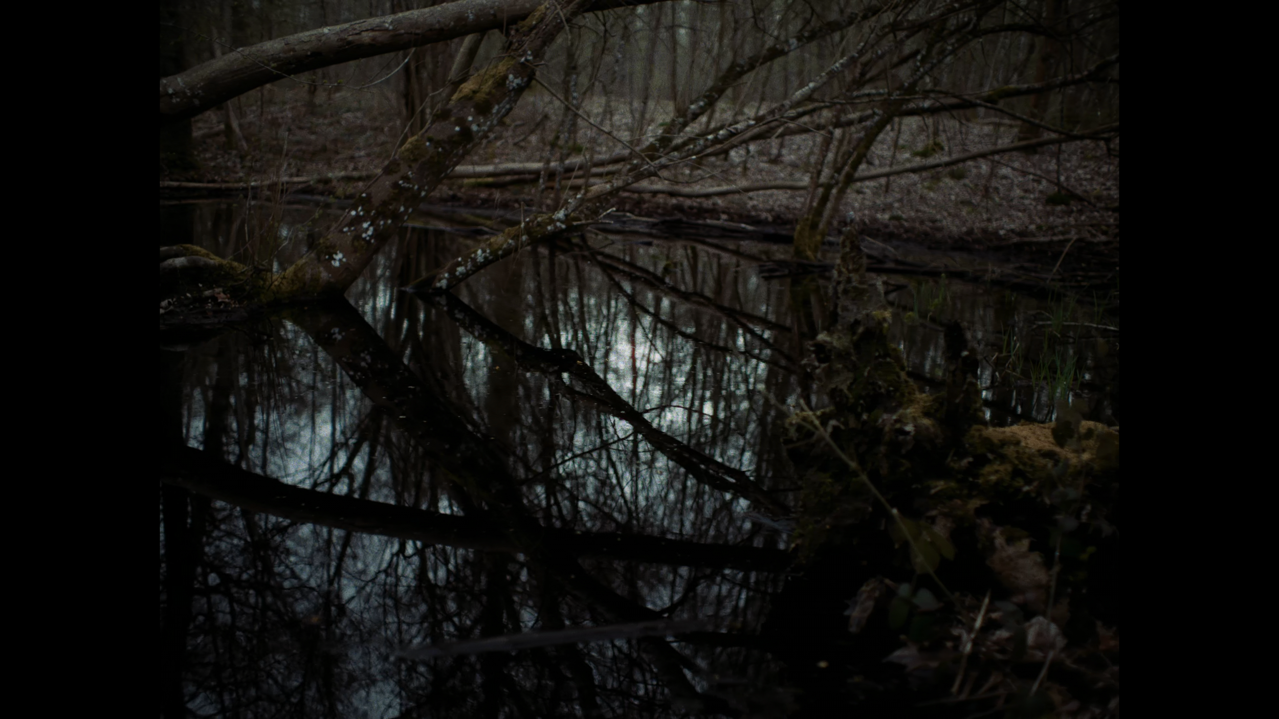 F10_LFAF_grade_wrtks_H265.mp4_20260527_145010.694.png