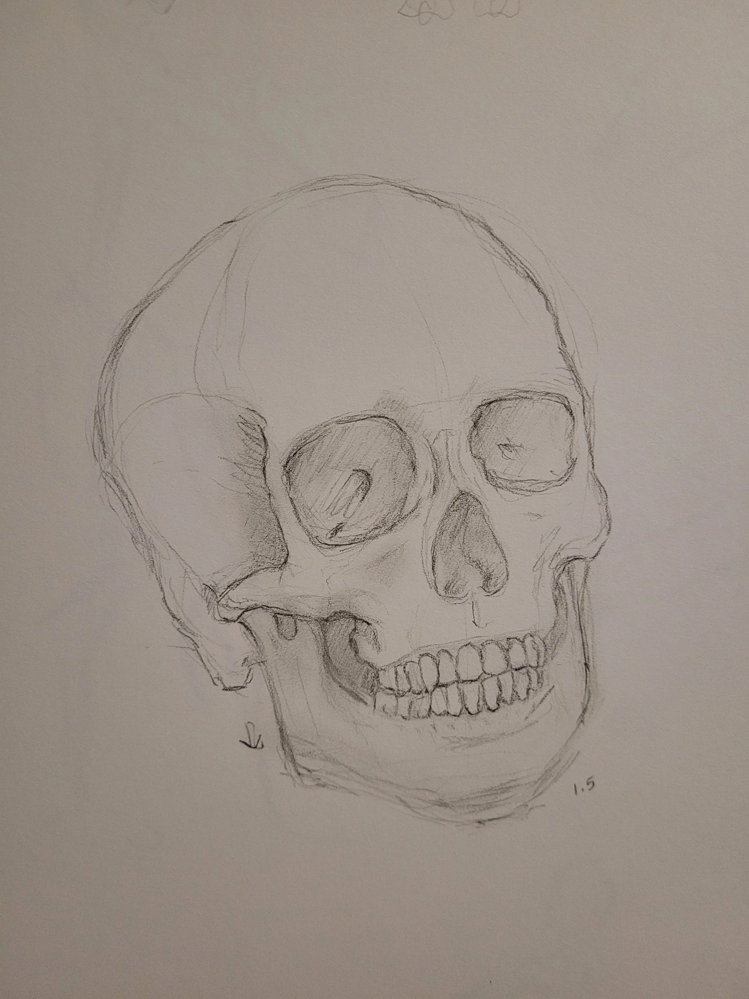 Life Drawing Year II: Anatomical Study