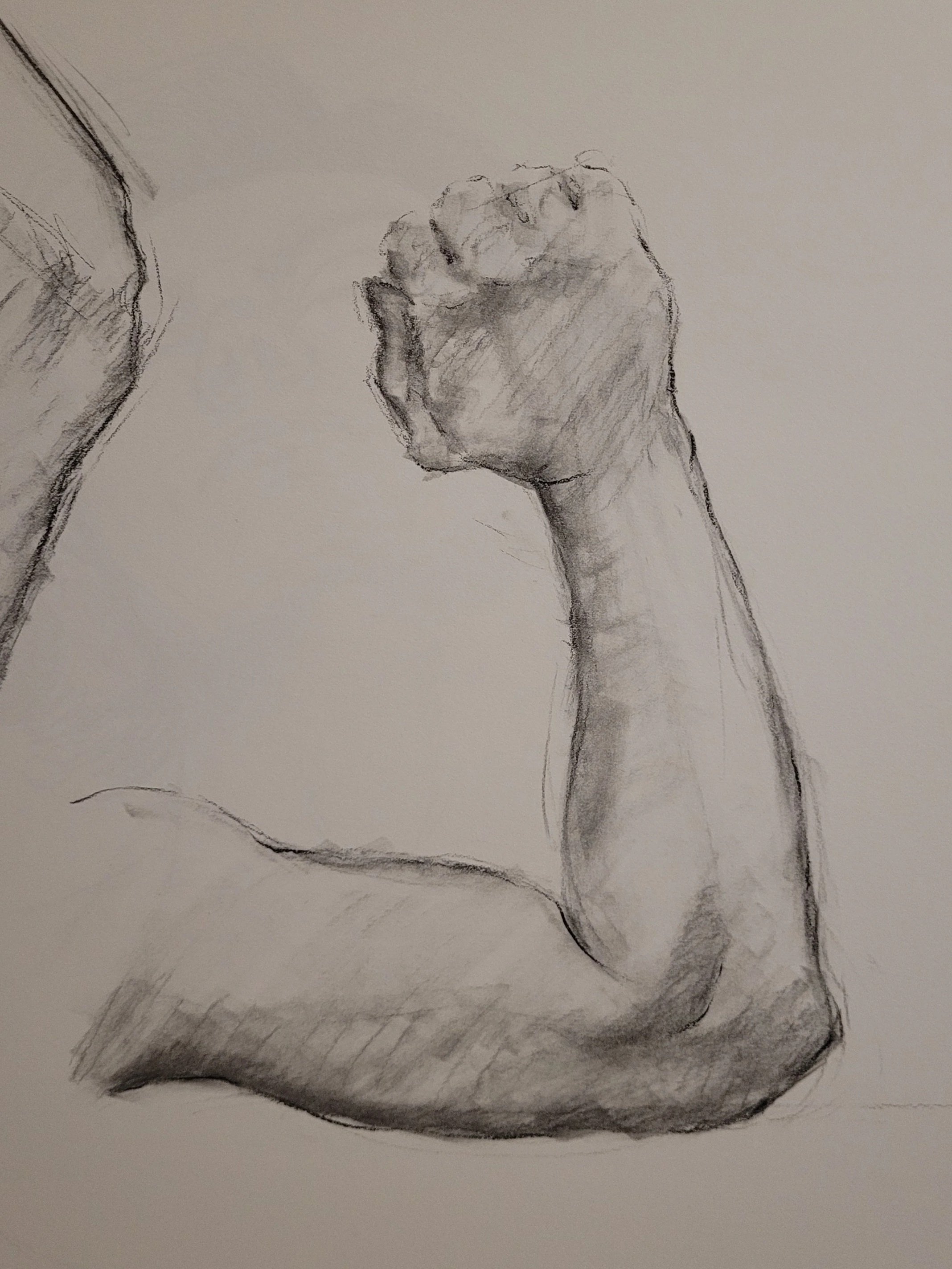 Life Drawing Year II: Arm Study
