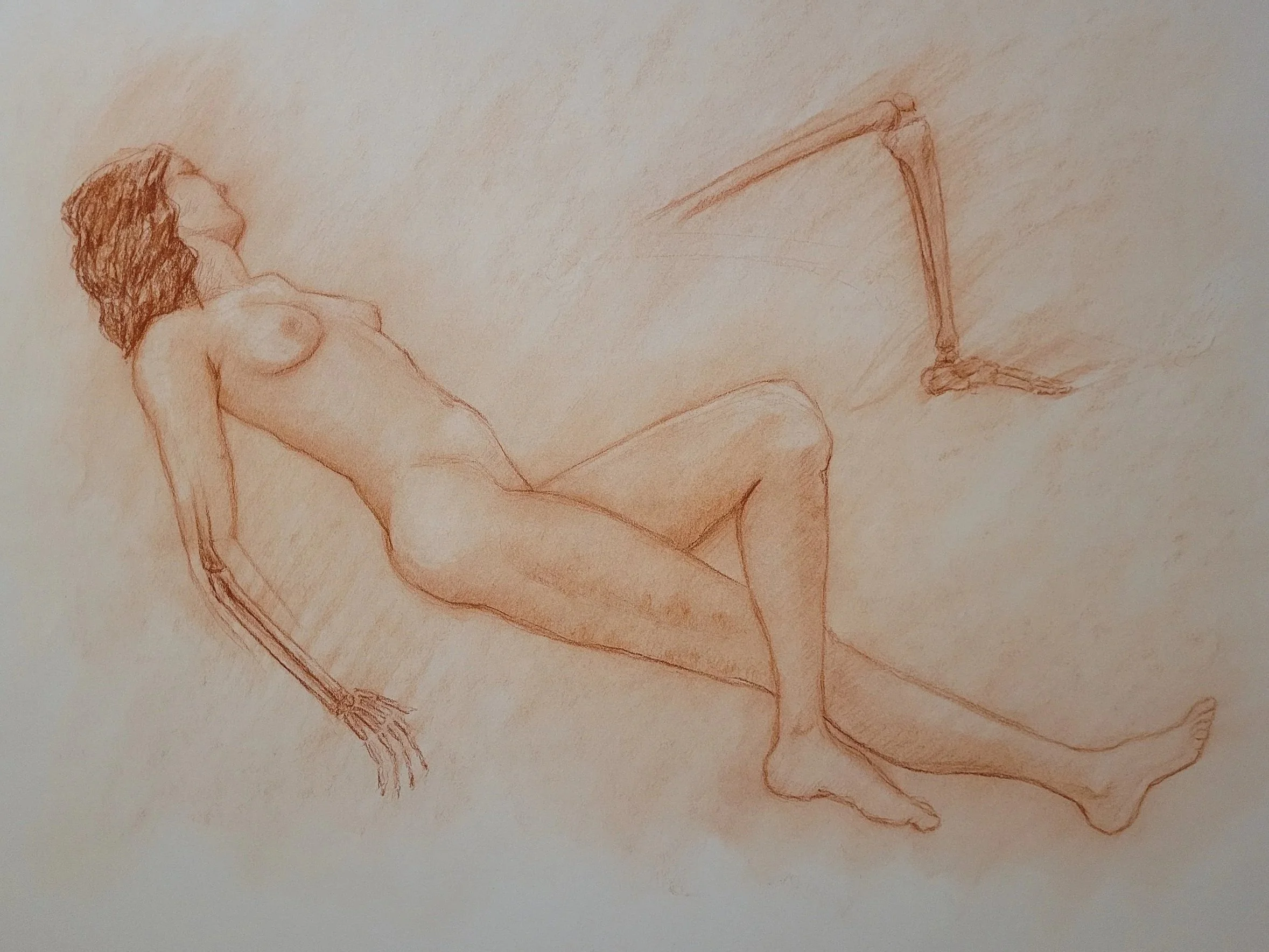 Life Drawing Year I: Anatomical Studies