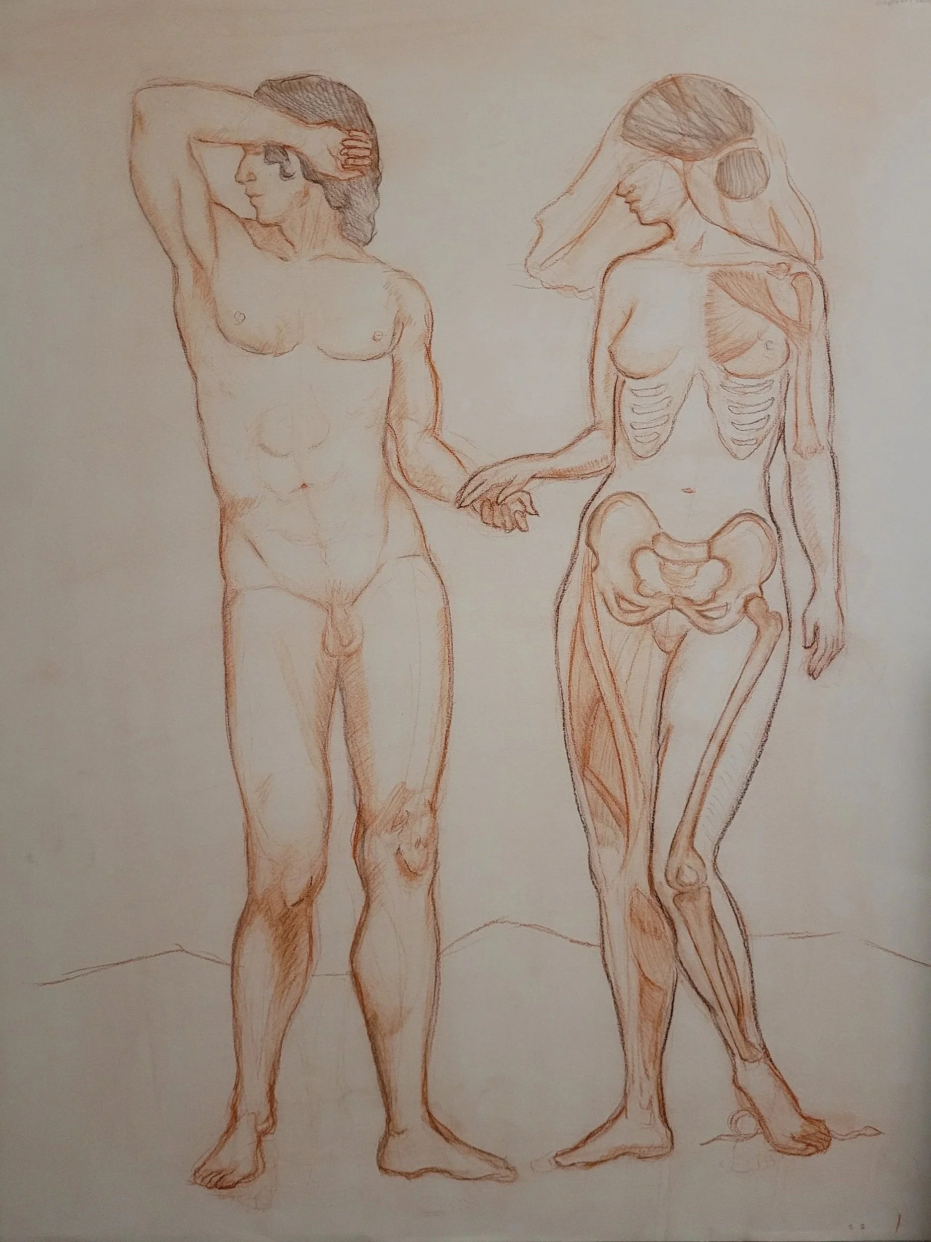 Life Drawing Year II: Project