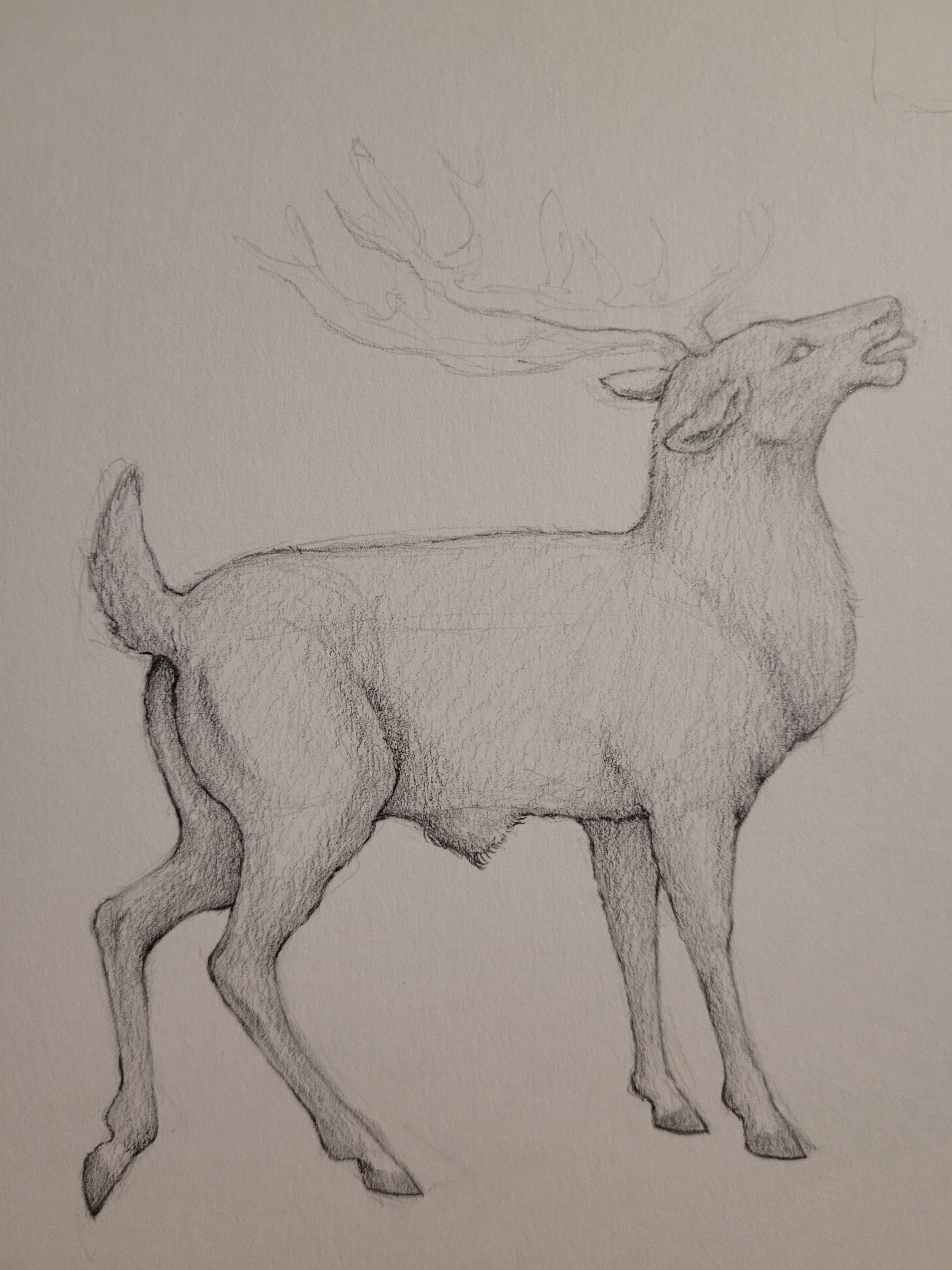Stag (2023)