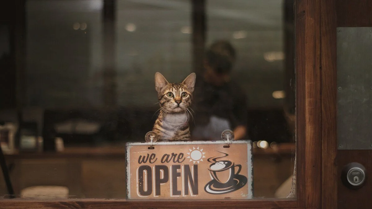 A cat sitting behind a glass window with an 'We Are Open' sign and a coffee cup illustration in front of it.