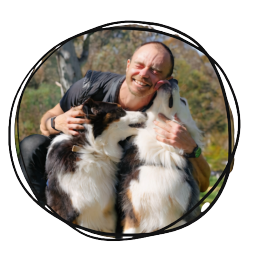 Ben from Gold Coast Dog Hikes greeting two friendly dogs at a home meet-and-greet.
