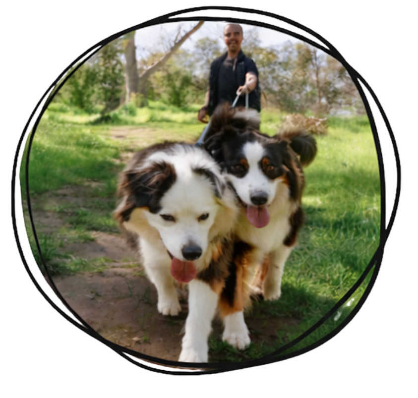 Two dogs on lead walking a grassy Gold Coast trail with their dog walker.