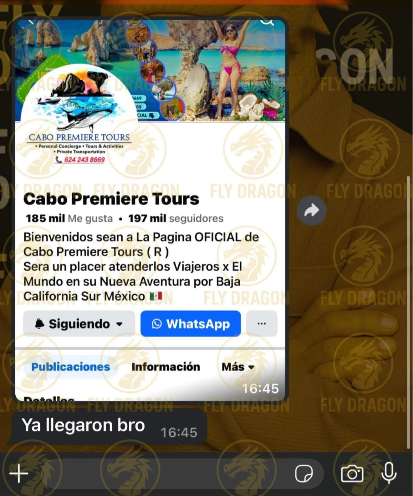 captura de pantalla de una página de Facebook de Cabo Premiere Tours, que muestra una imagen de una mujer con traje de baño en una zona costera con formaciones rocosas y agua azul, junto a información de contacto y enlaces a funciones como WhatsApp.