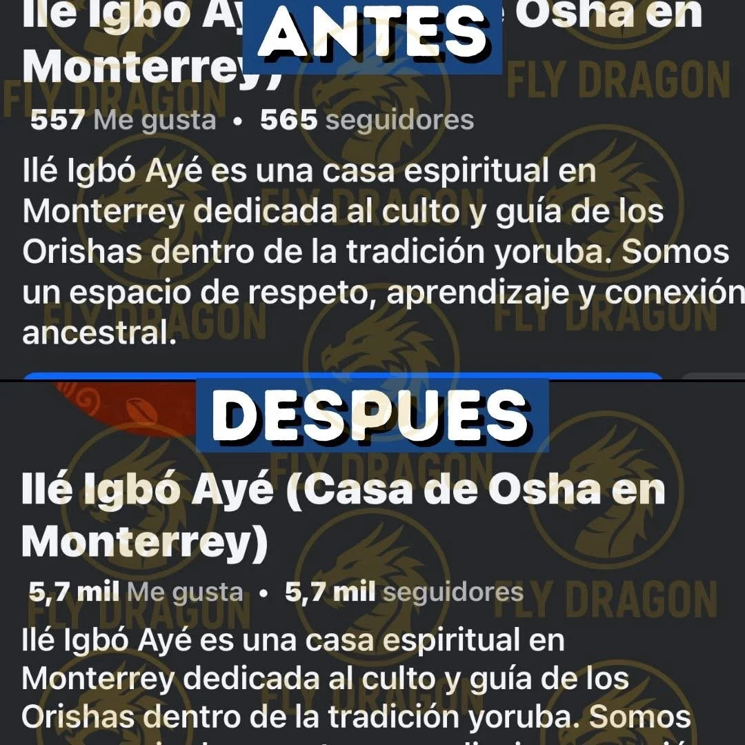 Comparación de la página de Instagram antes y después de un cambio en la cuenta. La sección superior muestra estadísticas antiguas con aproximadamente 557 likes y 565 seguidores, describiendo a Ié Igbó Ayé como una casa espiritual en Monterrey dedicada a cultos yoruba. La sección inferior muestra las mismas estadísticas renovadas con aproximadamente 5,700 likes y 5,700 seguidores, reiterando su dedicación a la cultura y tradición yoruba en Monterrey.