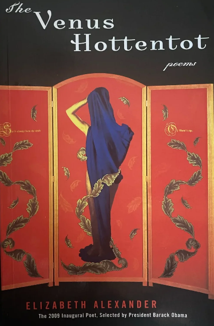 Book Talk &amp; Review: The Venus&nbsp;Hottentot