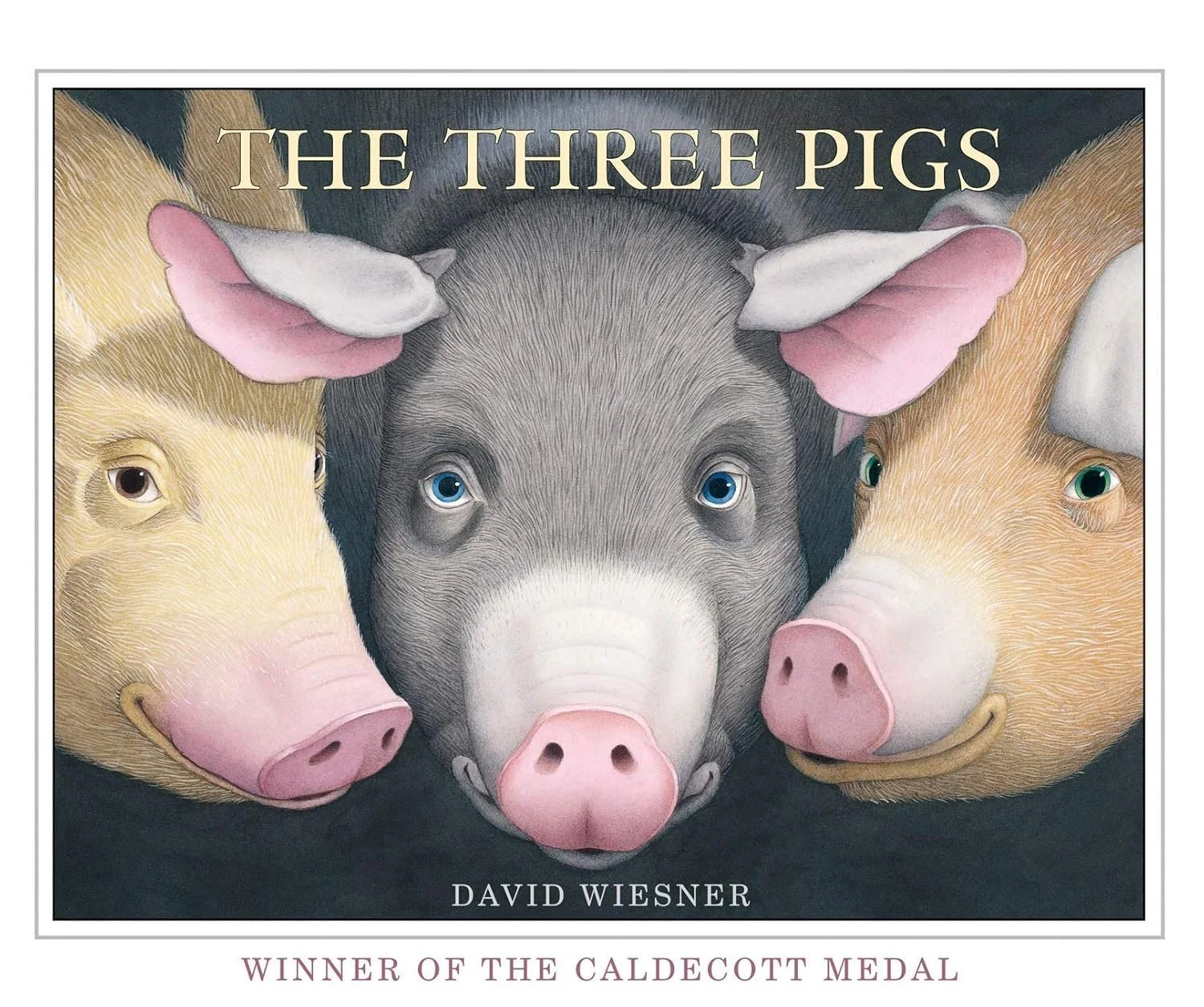 Video Book Talk: The Three Pigs
