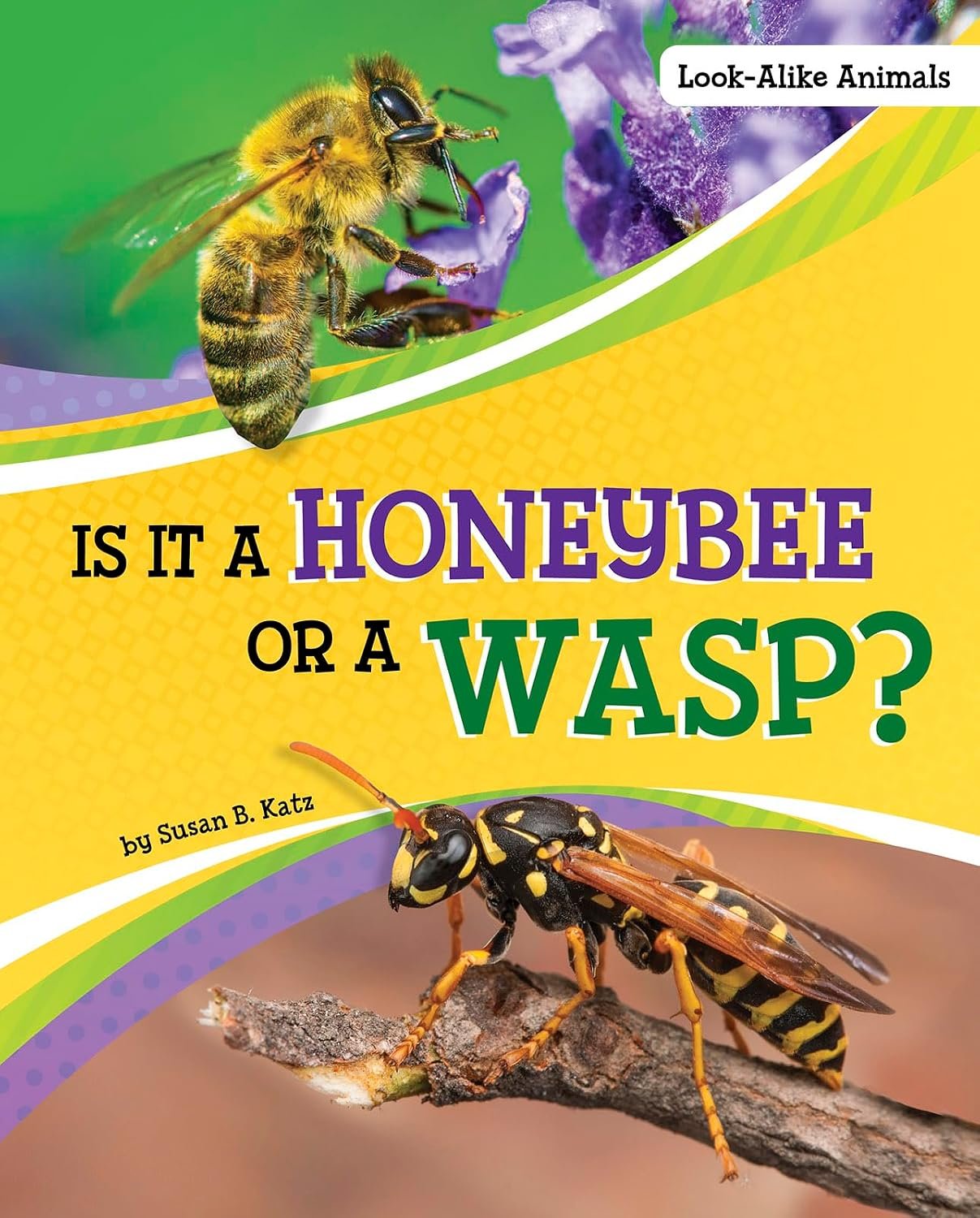 Video Book Talk: Is It a Honeybee or a Wasp?