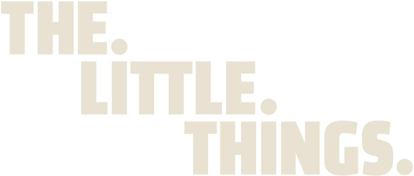 THE. LITTLE. THINGS.