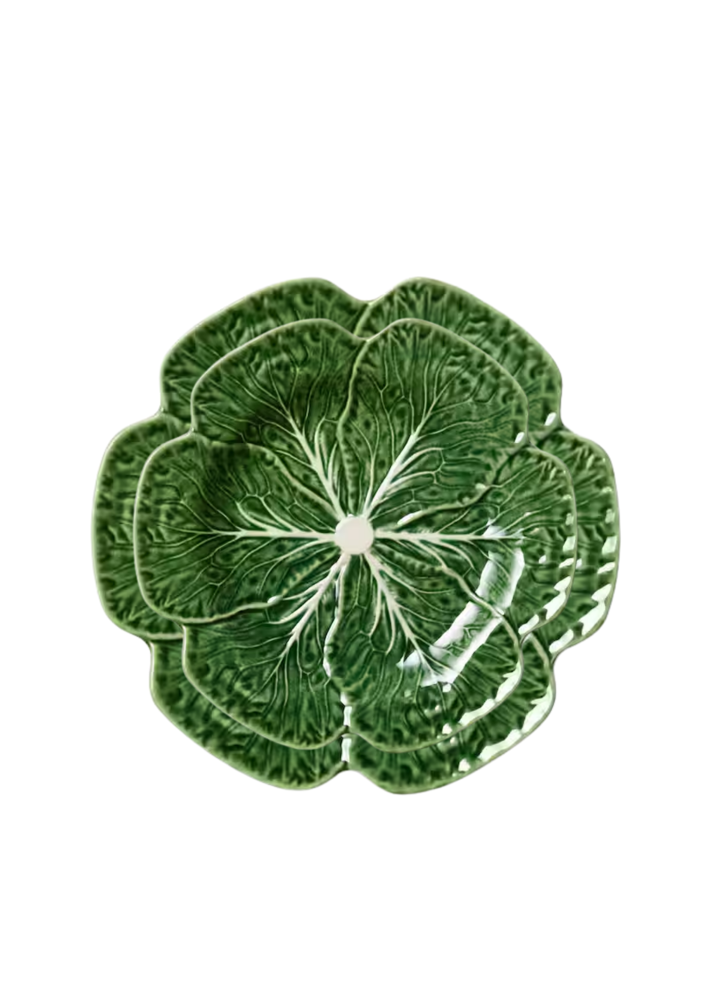 Cabbage