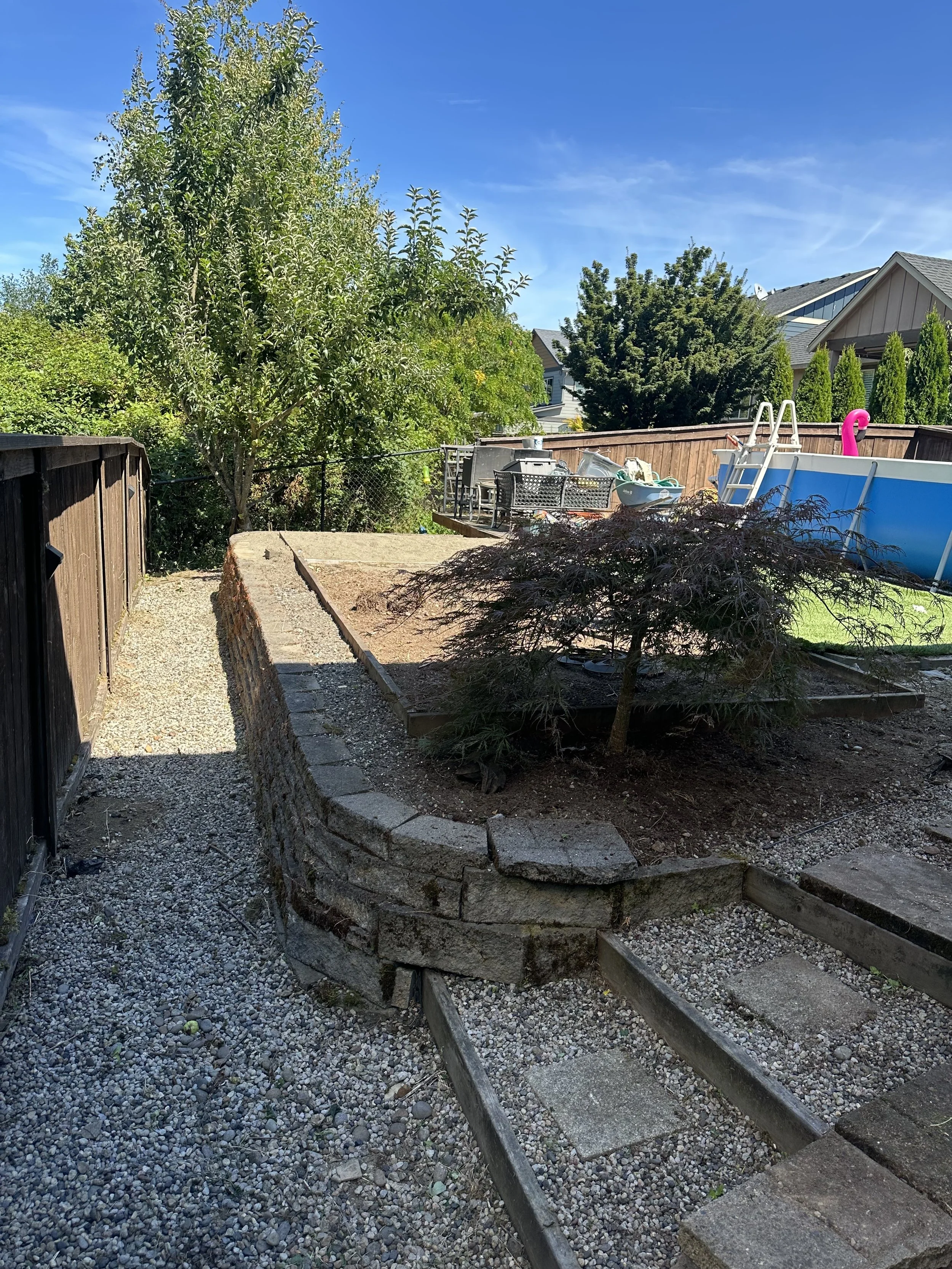 A backyard scene with a gravel pathway, a small stone retaining wall, a set of steps leading to a raised garden bed, and a young tree with reddish leaves. There are various outdoor furniture and a small above-ground pool with a pink flamingo float. In the background, there are trees, shrubs, and neighboring houses with clear blue skies.