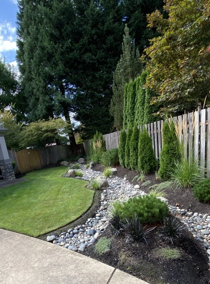 A landscaped backyard with a well-maintained grass lawn, a garden bed with various shrubs, and a rock border. Tall trees and a wooden fence line the background.