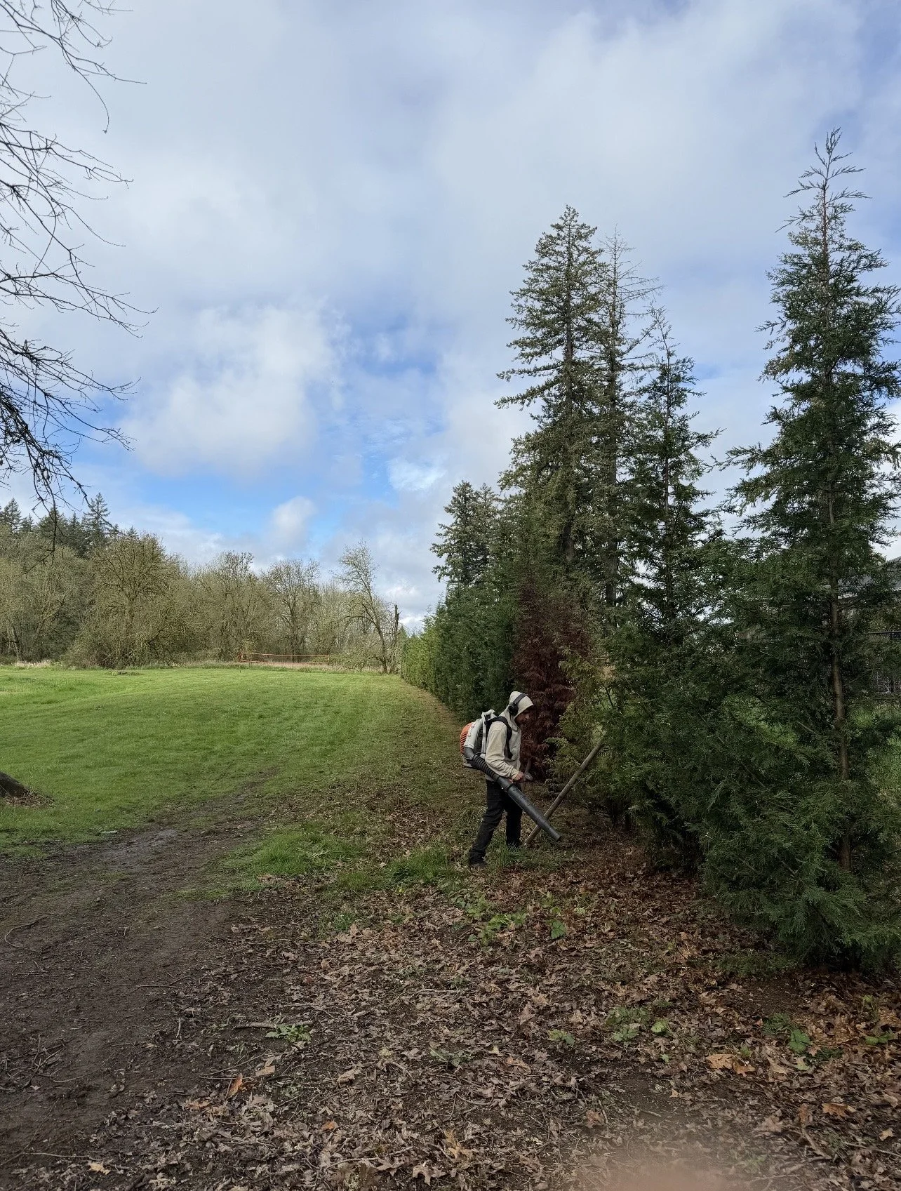Person in a beige hoodie and backpack using a leaf blower on a wooded path near tall pine trees.