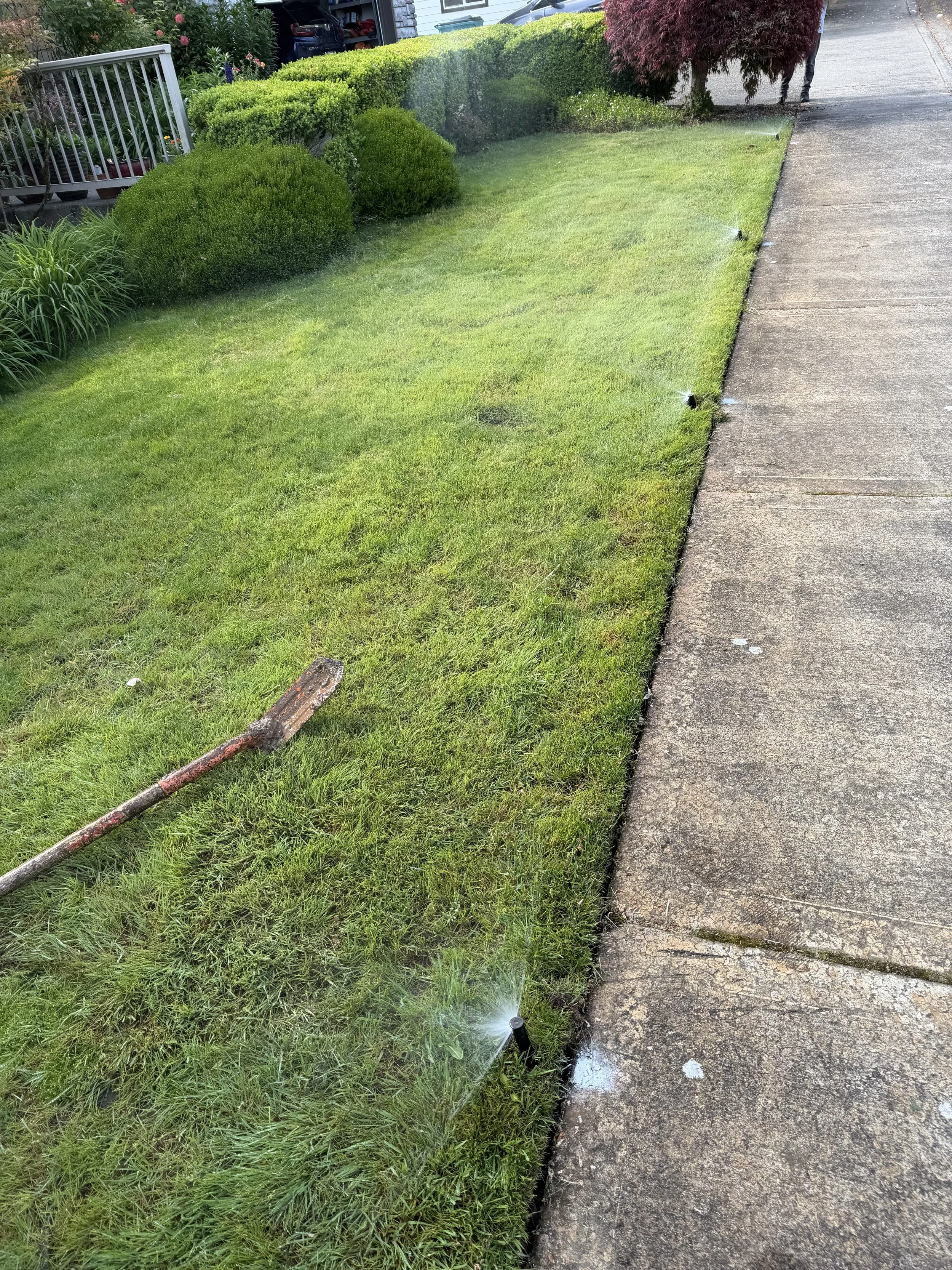 A well-maintained lawn with sprinklers watering the grass and a concrete sidewalk on the right side. There are bushes and plants along the edge of the lawn with a house and vehicles visible in the background.