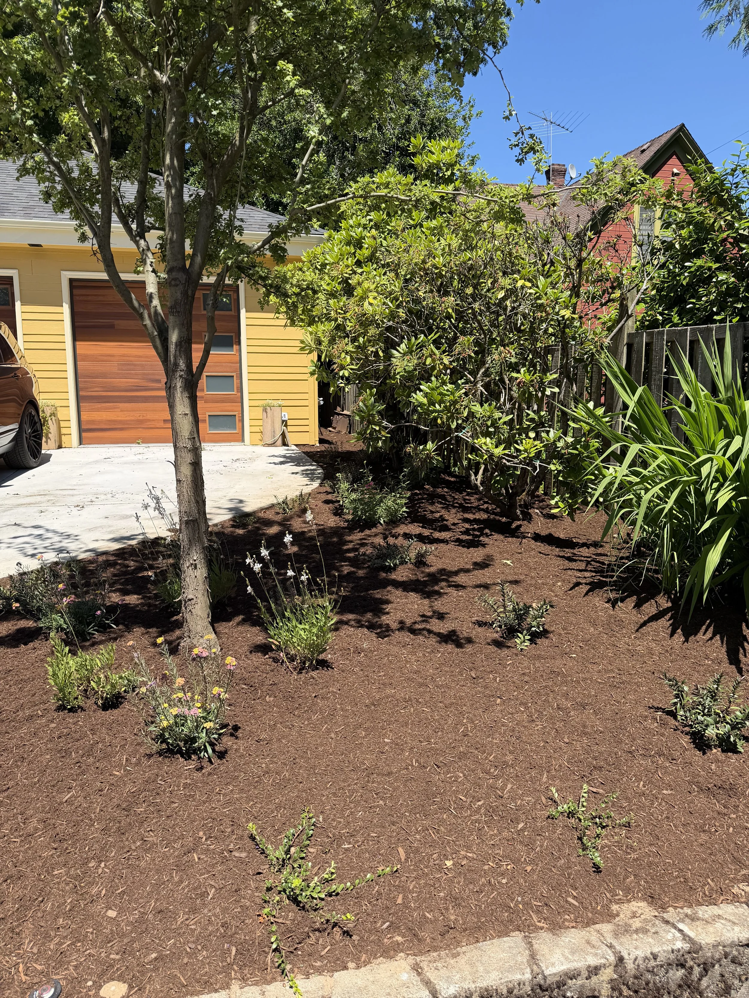 A landscaped front yard with newly planted bushes and flowers, a tree, a concrete driveway, a yellow house with a wooden garage door, and a clear blue sky.