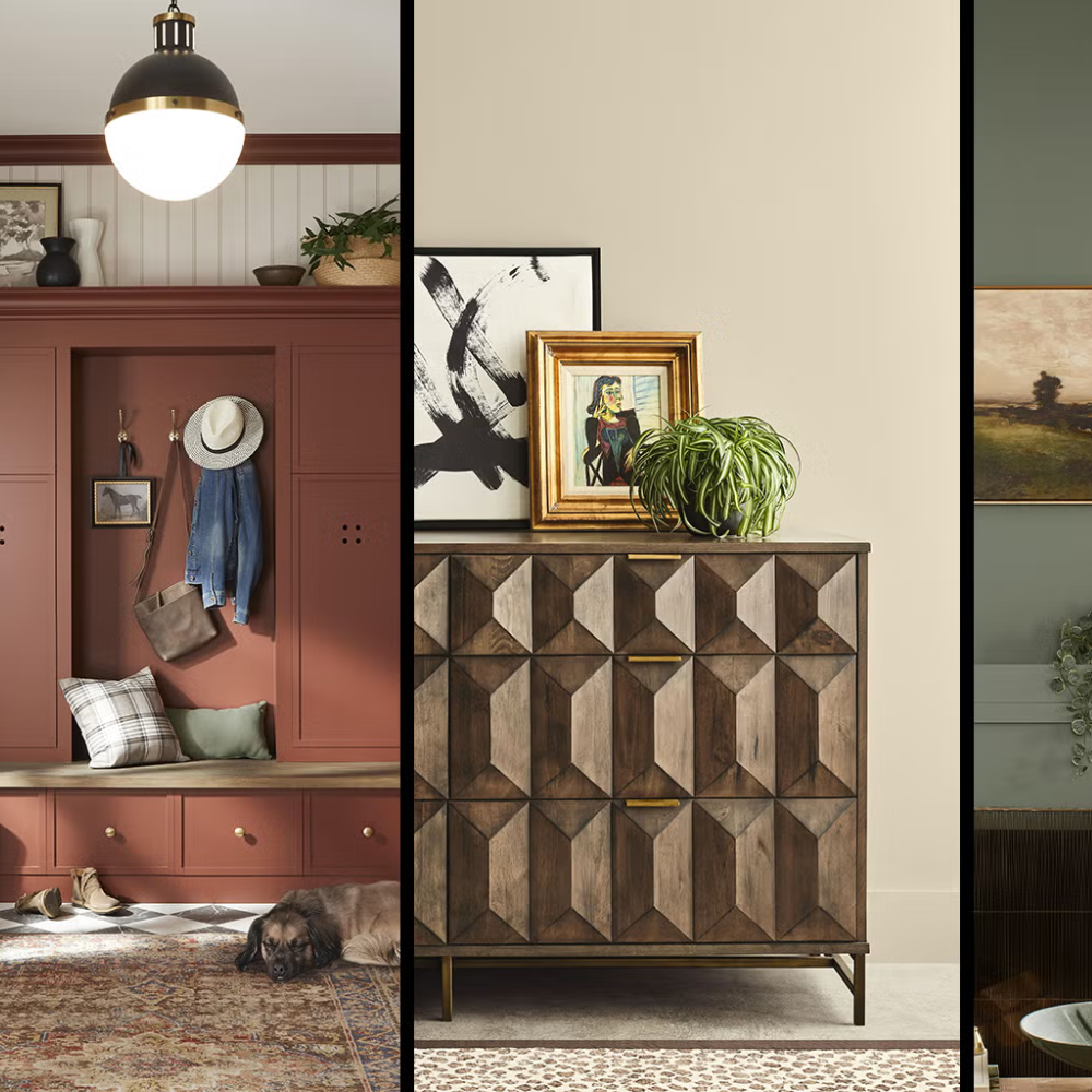 Beyond the Brush: How a Professional Color Transformation Redefines Your Home