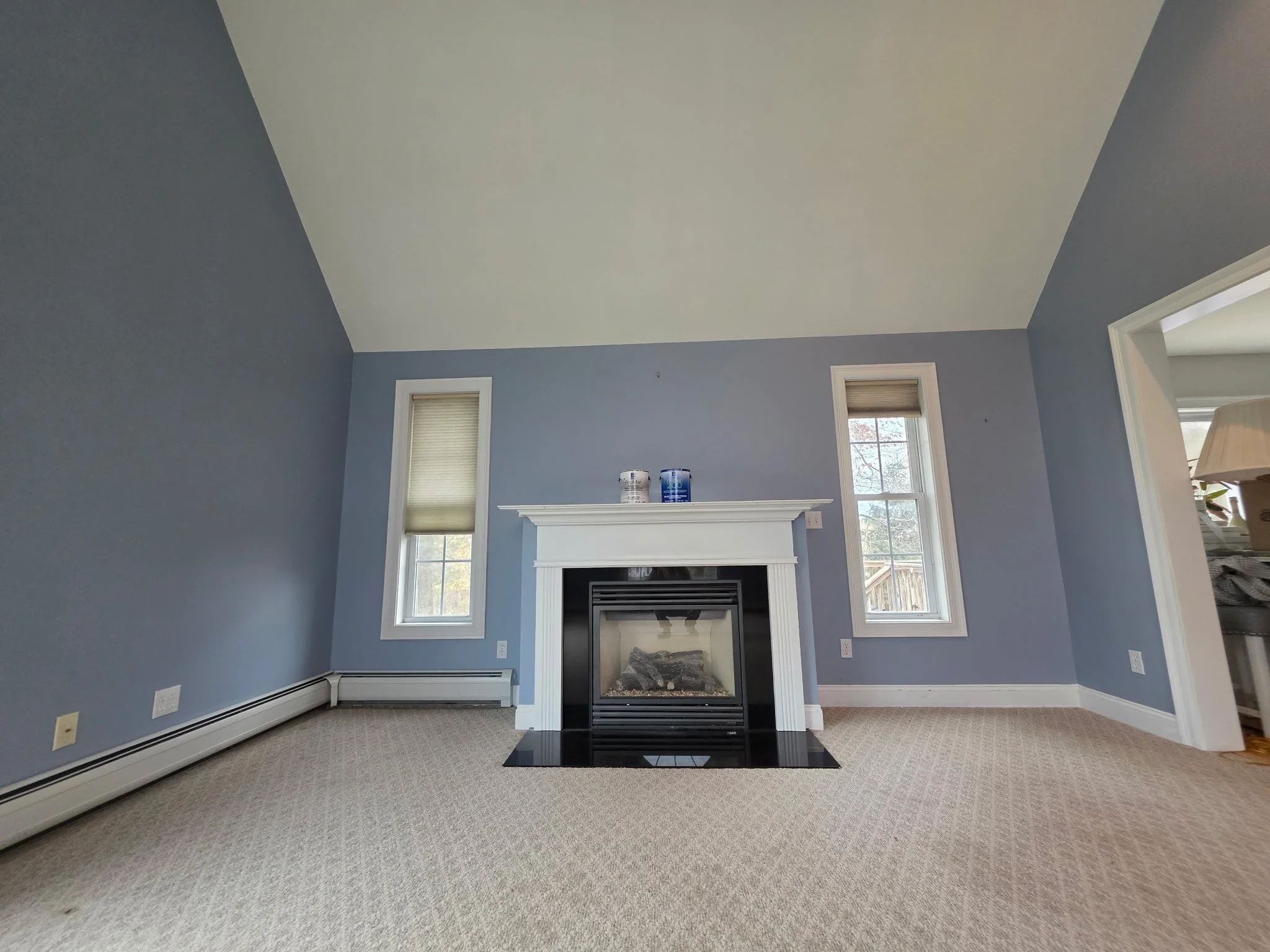 Living room with blue walls, beige carpet, white fireplace, two windows with blinds, and an open doorway to another room.