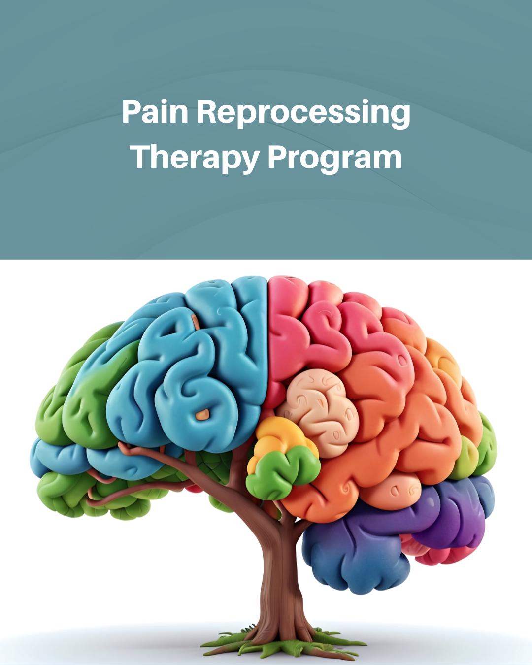 Pain Reprocessing Therapy Program